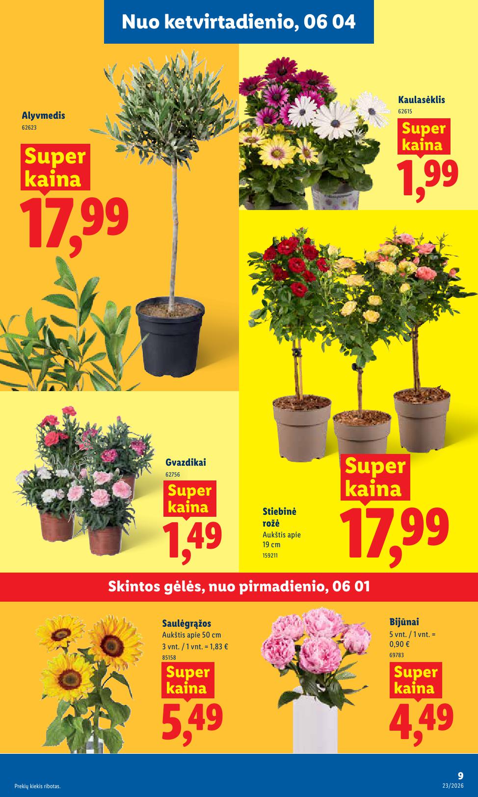 Naujausias LIDL kaininis katalogas 2026.06.01 - 2026.06.07