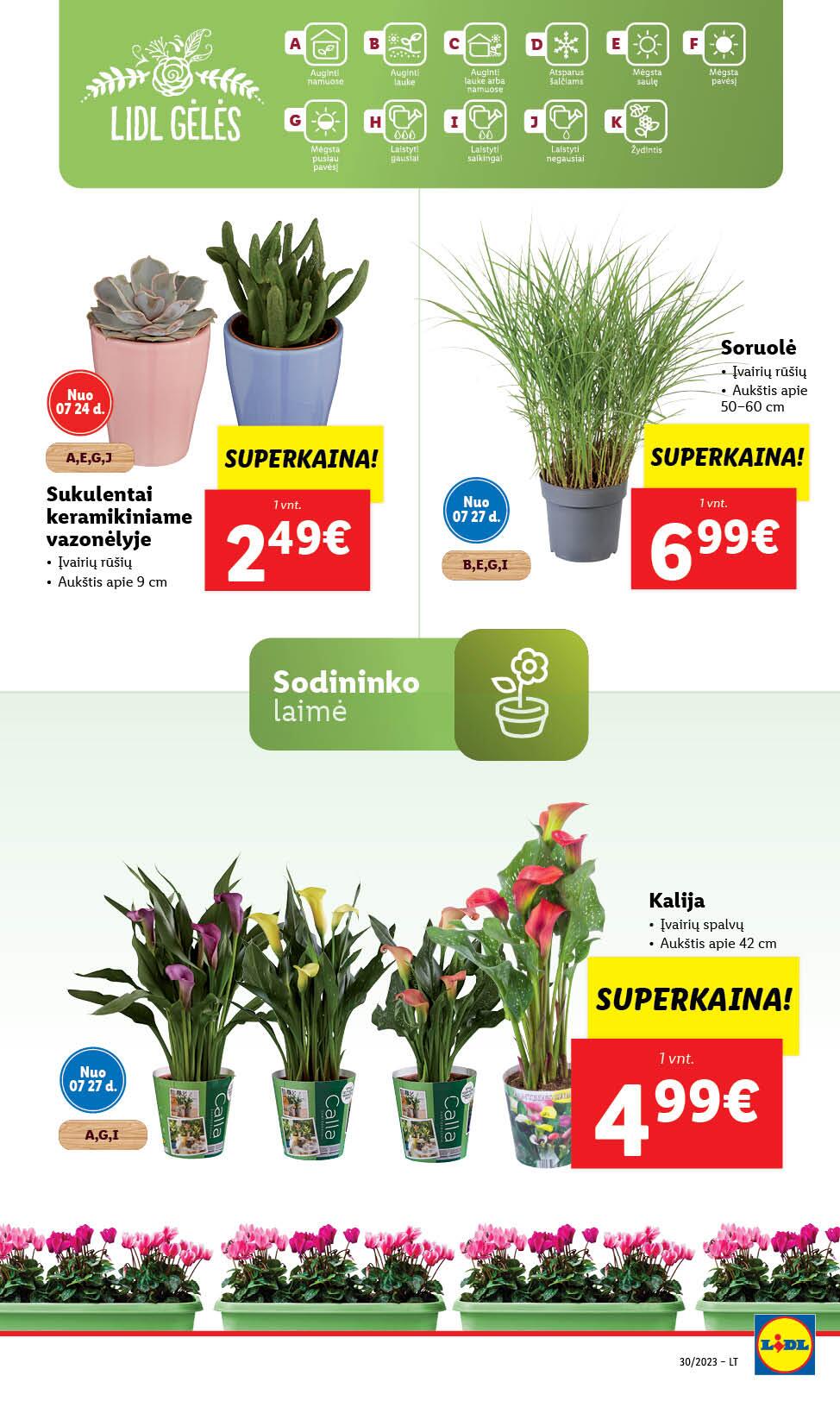 Naujausias LIDL kaininis katalogas 2023.07.24 - 2023.07.30
