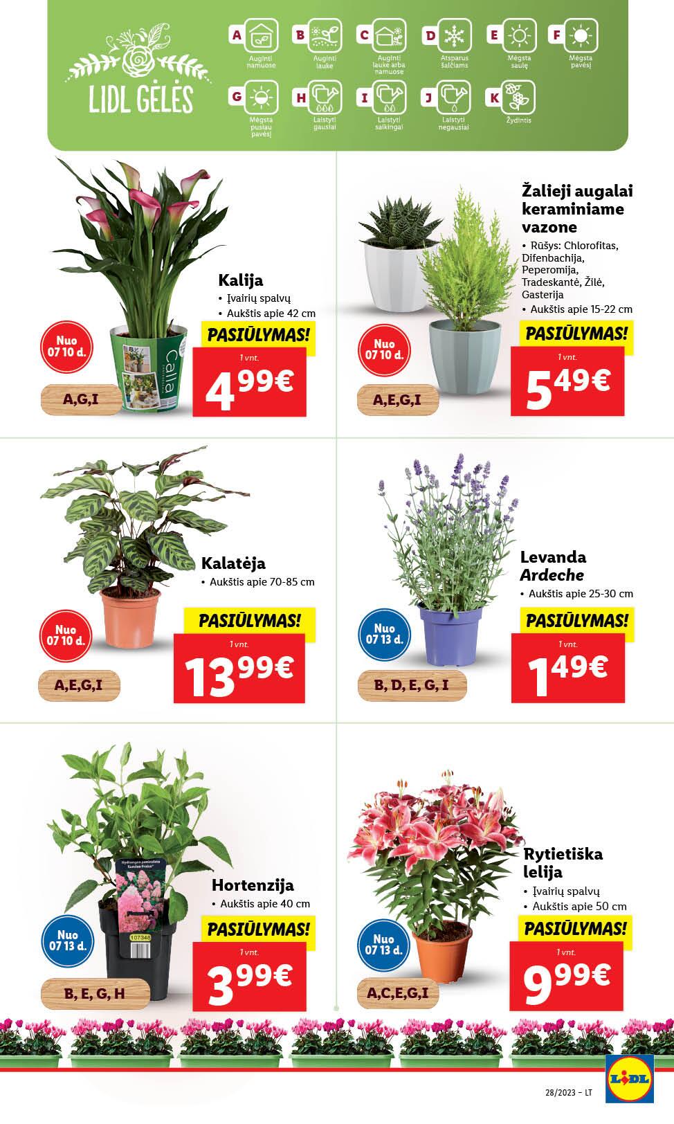 Naujausias LIDL kaininis katalogas 2023.07.10 - 2023.07.16