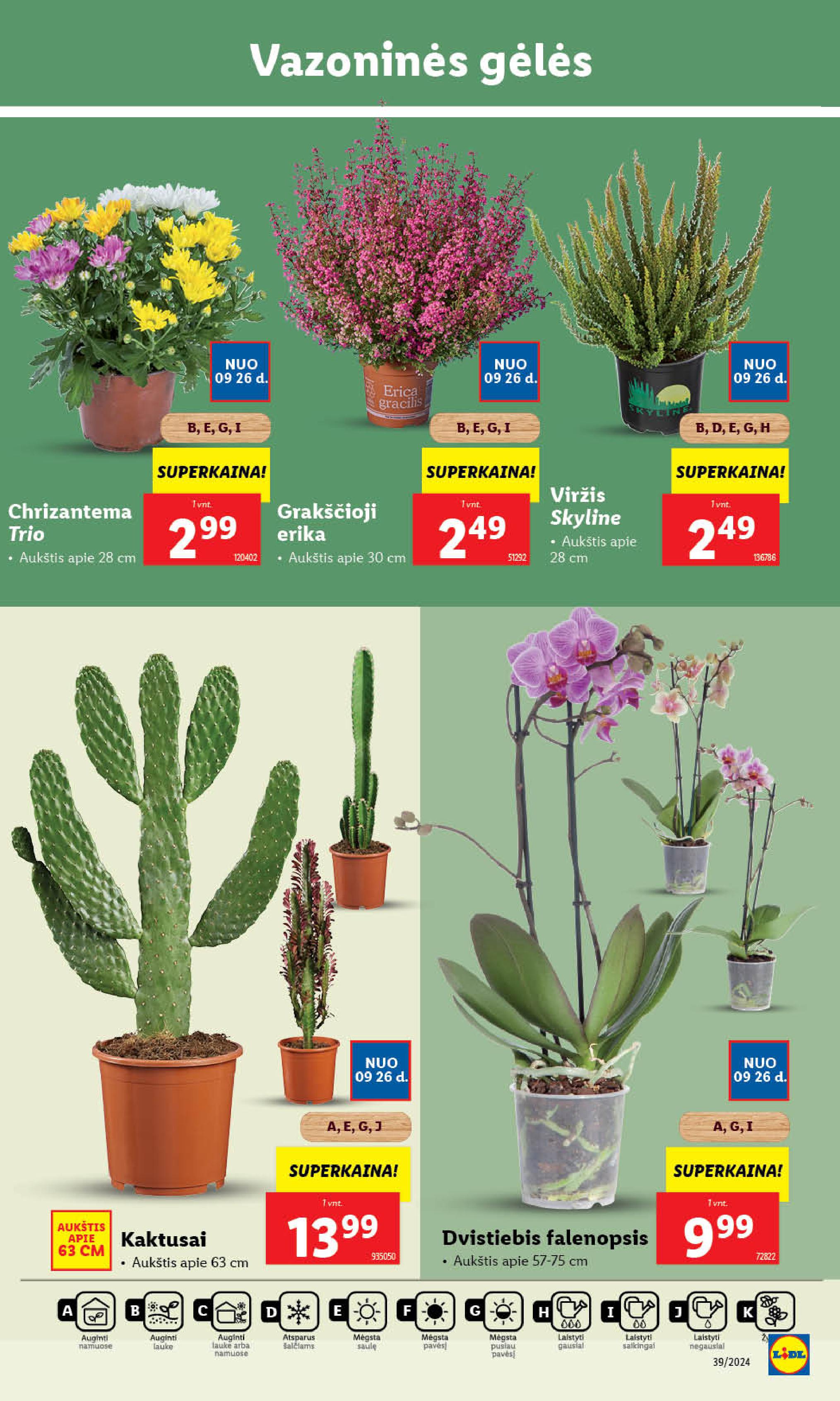 Naujausias LIDL kaininis katalogas 2024.09.23 - 2024.09.29