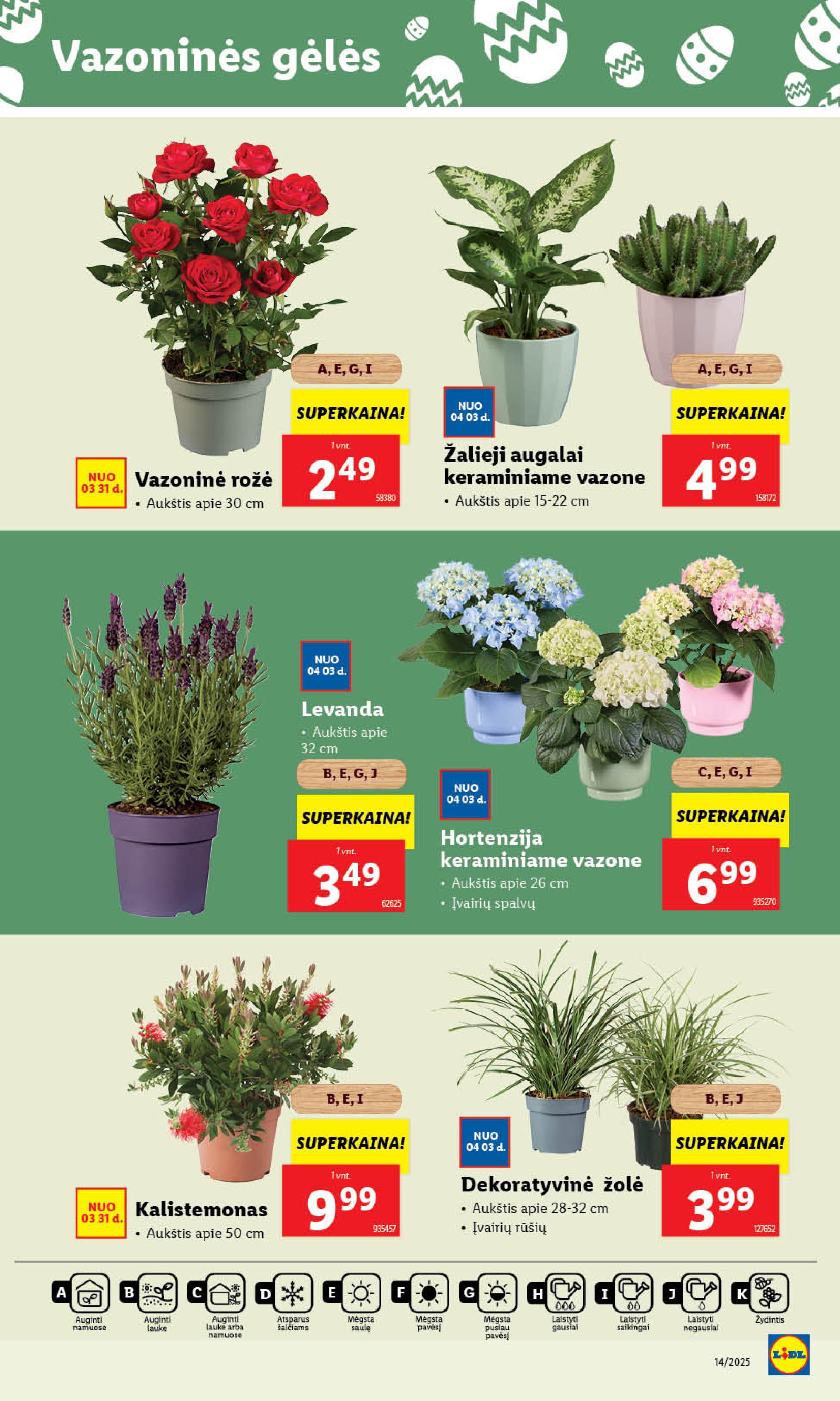 Naujausias LIDL kaininis katalogas 2025.03.31 - 2025.04.06