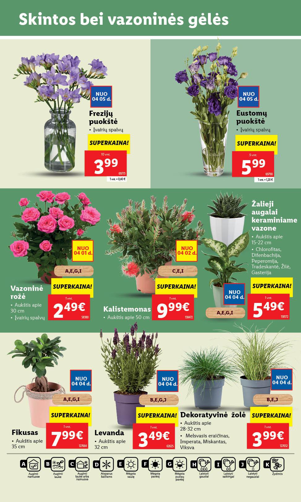 Naujausias LIDL kaininis katalogas 2024.04.01 - 2024.04.07