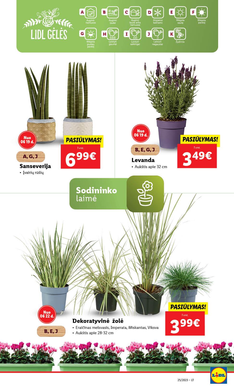 Naujausias LIDL kaininis katalogas 2023.06.19 - 2023.06.25