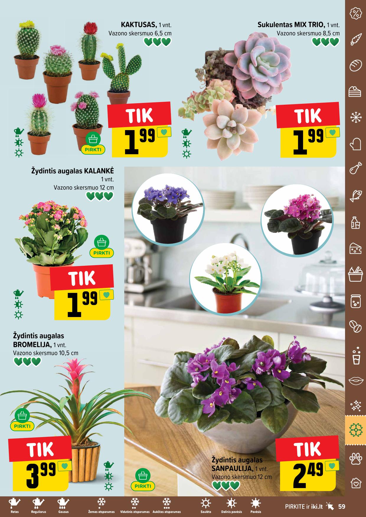 Naujausias IKI kaininis katalogas 2026.01.12 - 2026.01.18