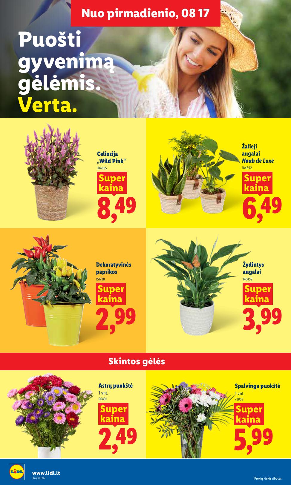 Naujausias LIDL kaininis katalogas 2026.08.17 - 2026.08.23