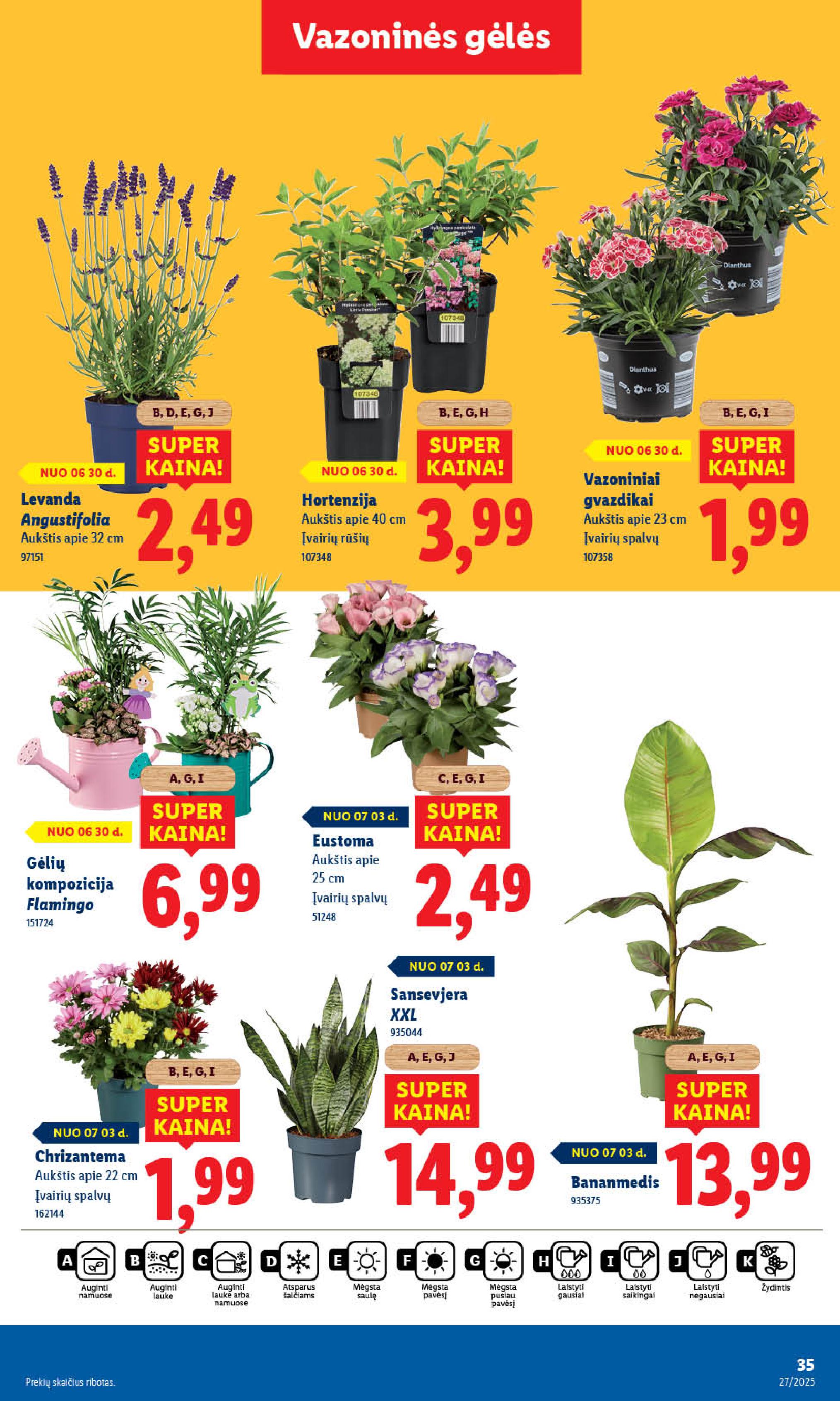 Naujausias LIDL kaininis katalogas 2025.06.30 - 2025.07.06
