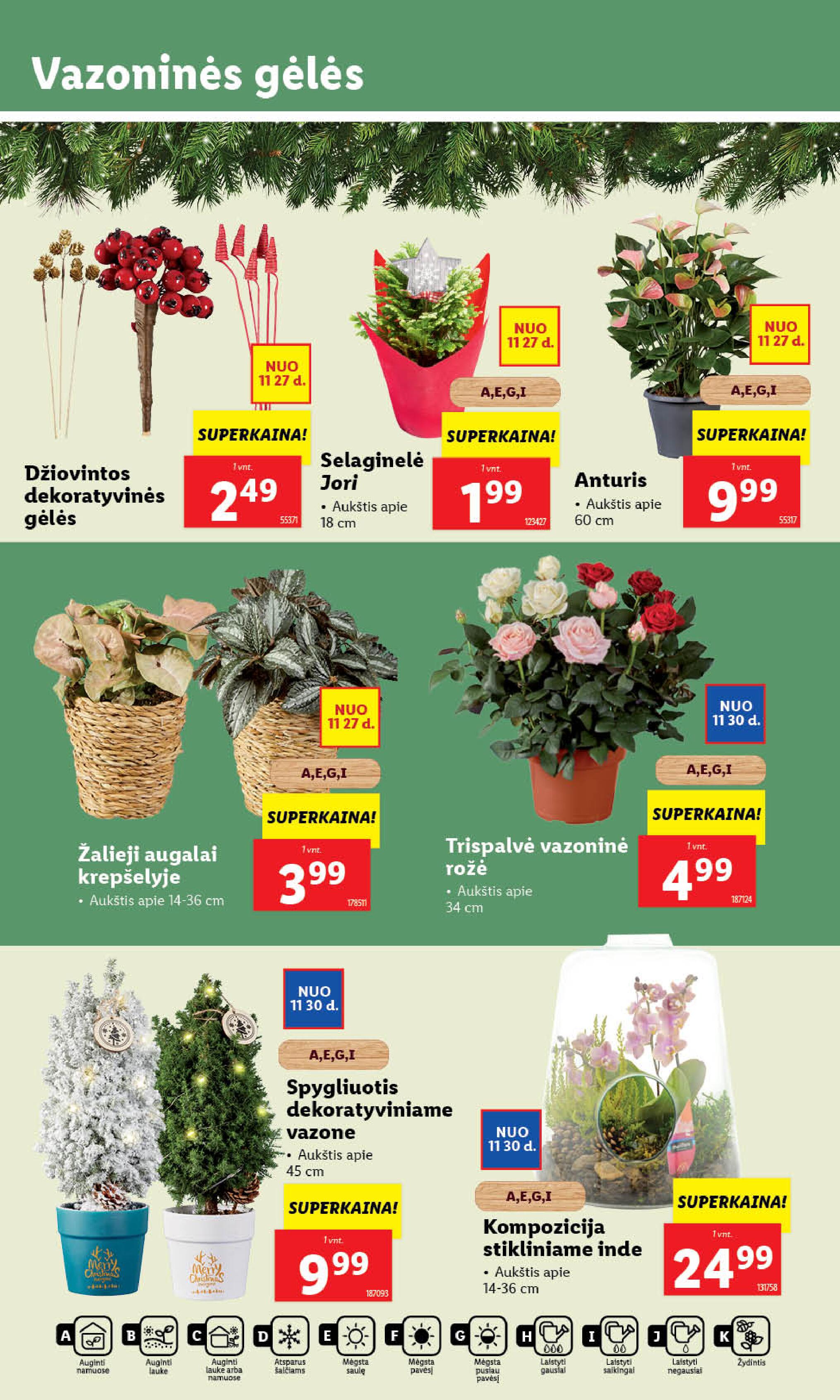 Naujausias LIDL kaininis katalogas 2023.11.27 - 2023.12.03