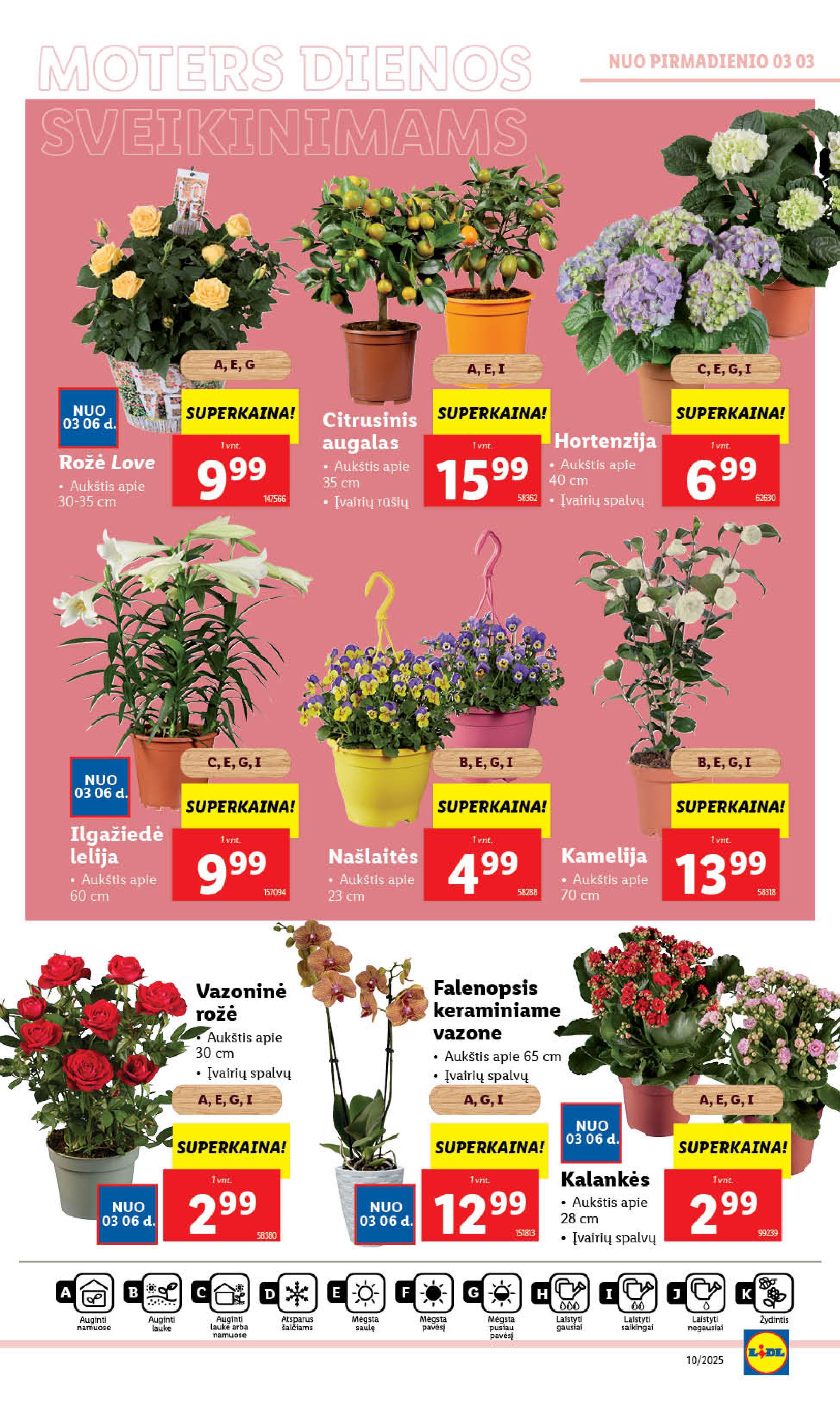 Naujausias LIDL kaininis katalogas 2025.03.03 - 2025.03.09