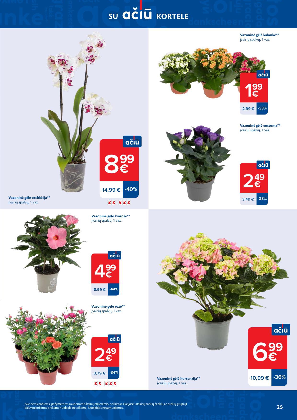 Naujausias MAXIMA kaininis katalogas 2026.04.07 - 2026.04.13