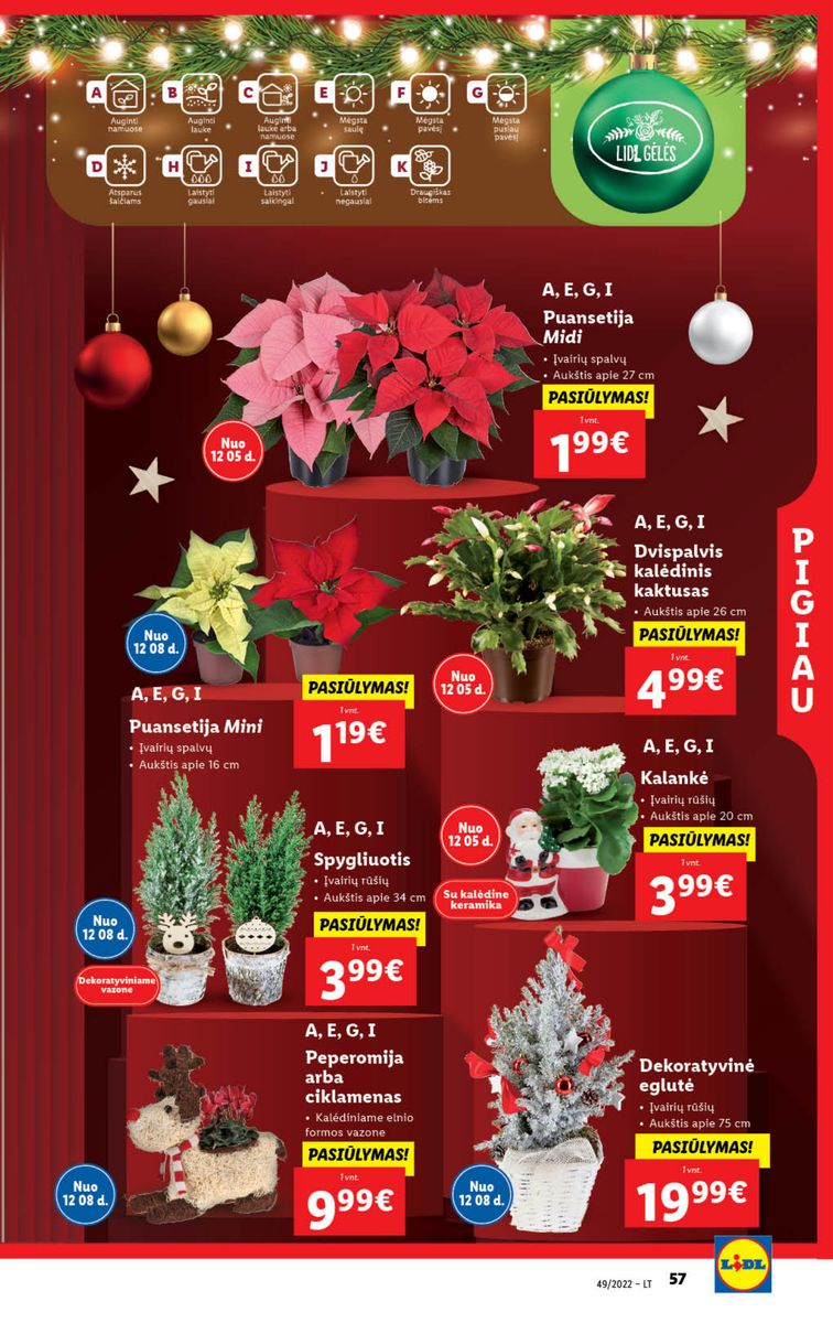 Naujausias LIDL kaininis katalogas 2022.12.05 - 2022.12.11