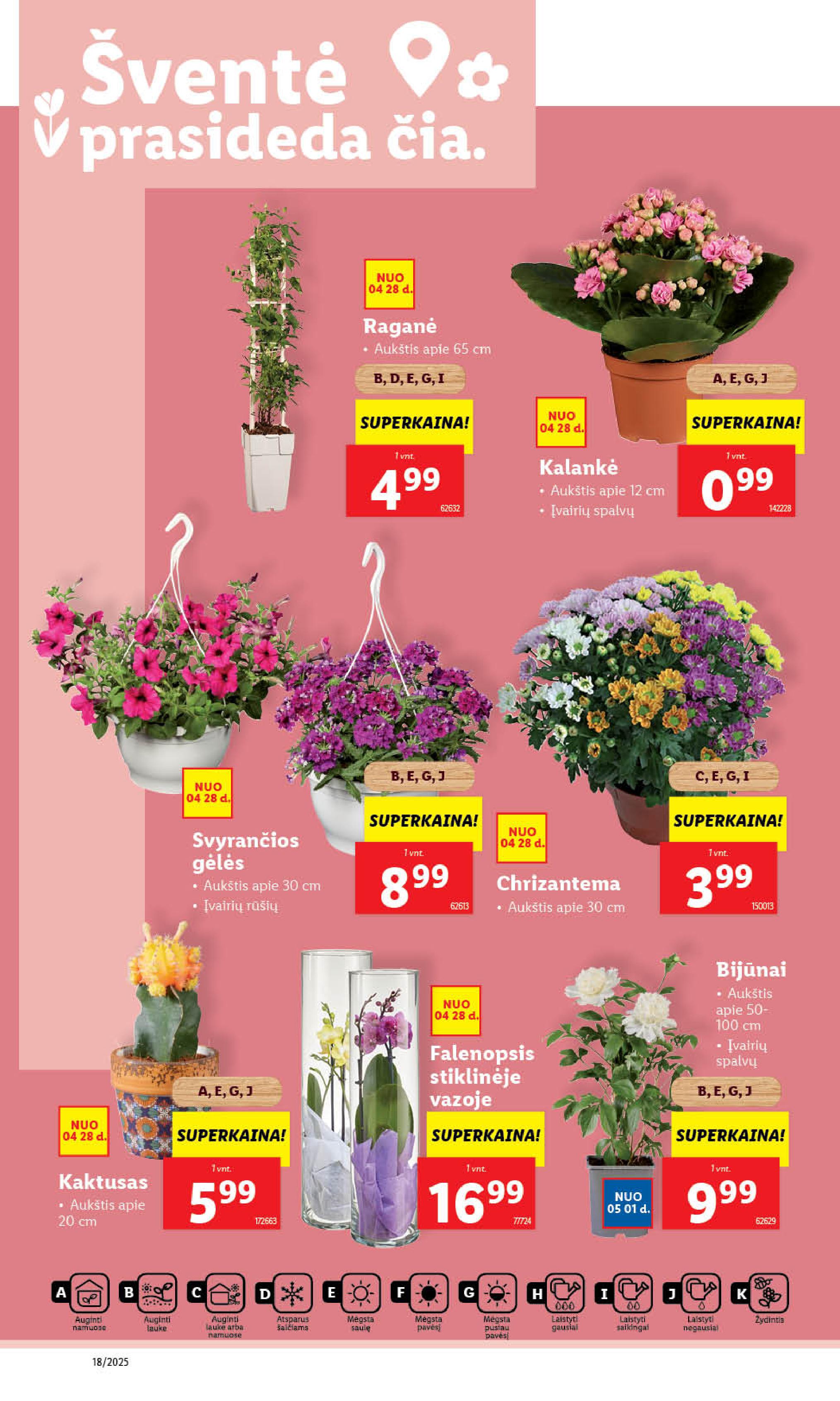 Naujausias LIDL kaininis katalogas 2025.04.28 - 2025.05.04