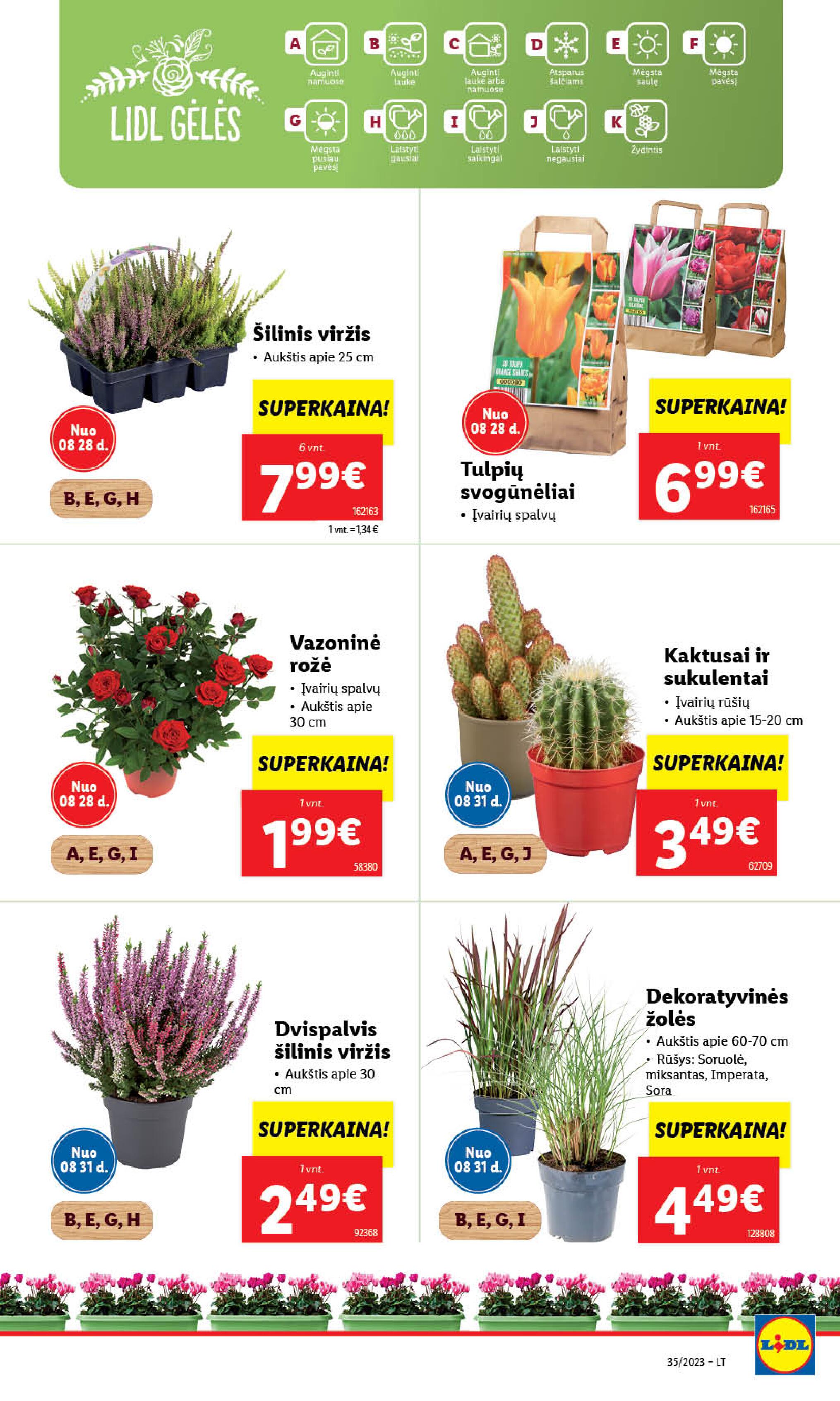 Naujausias LIDL kaininis katalogas 2023.08.28 - 2023.09.03