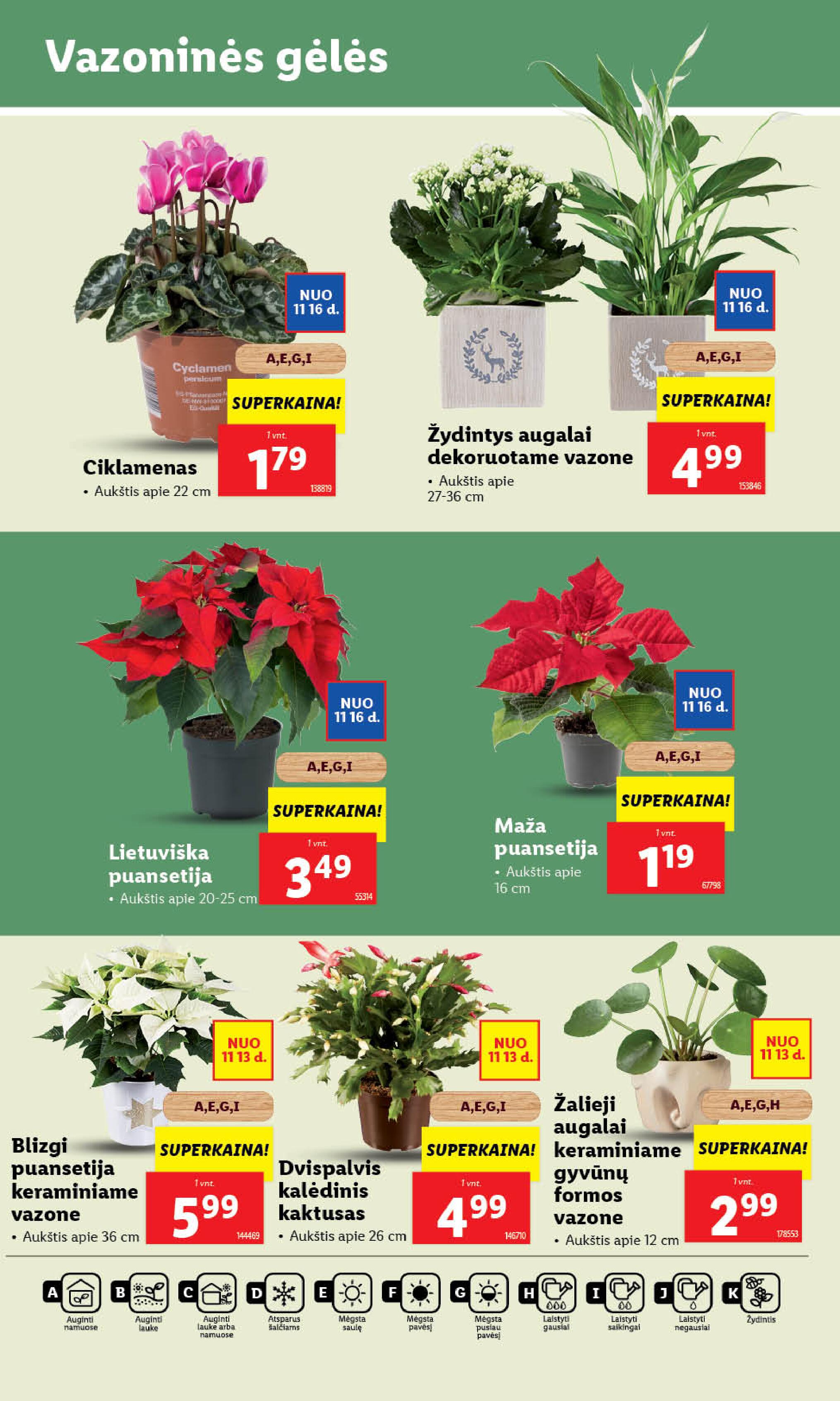 Naujausias LIDL kaininis katalogas 2023.11.13 - 2023.11.19