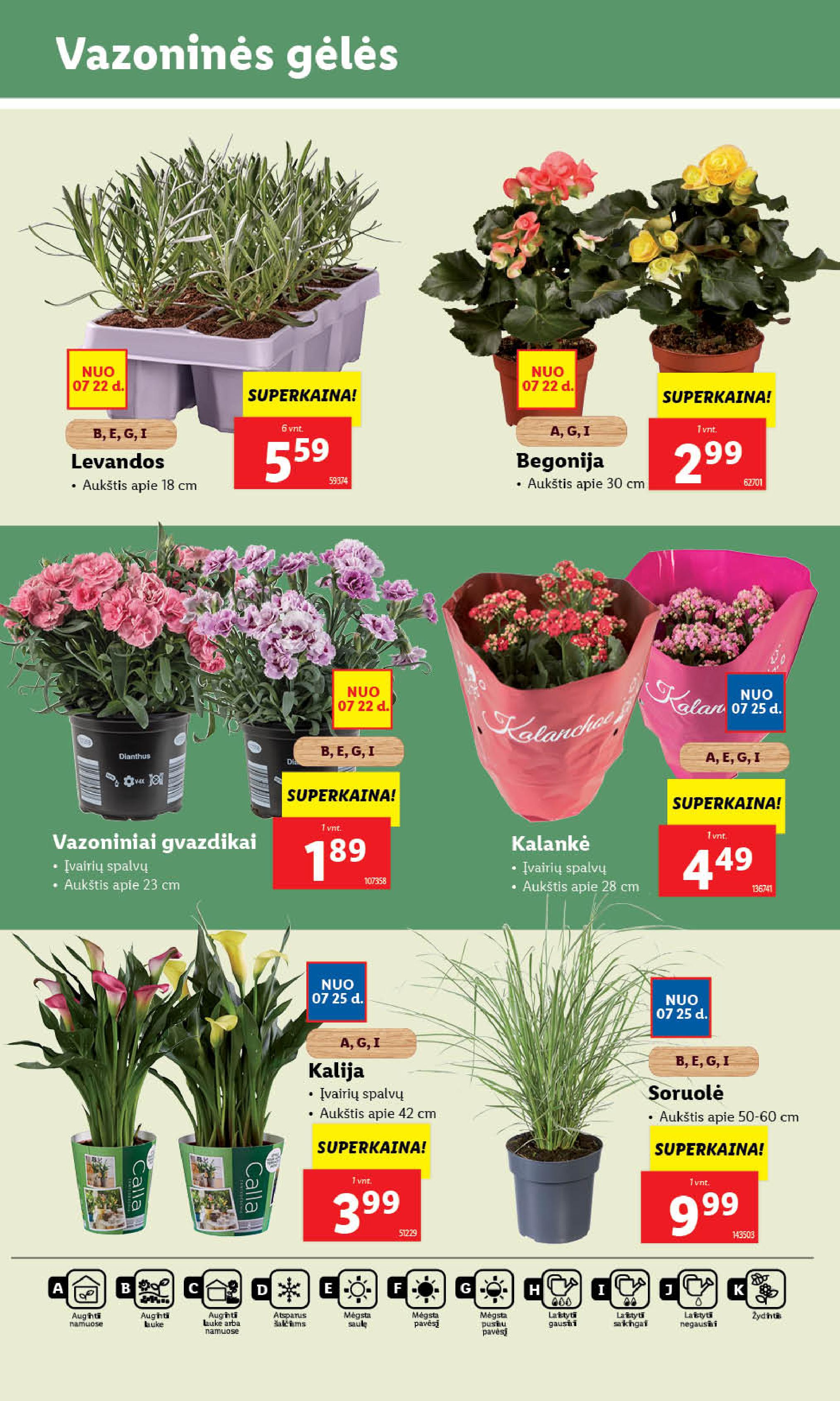 Naujausias LIDL kaininis katalogas 2024.07.22 - 2024.07.28