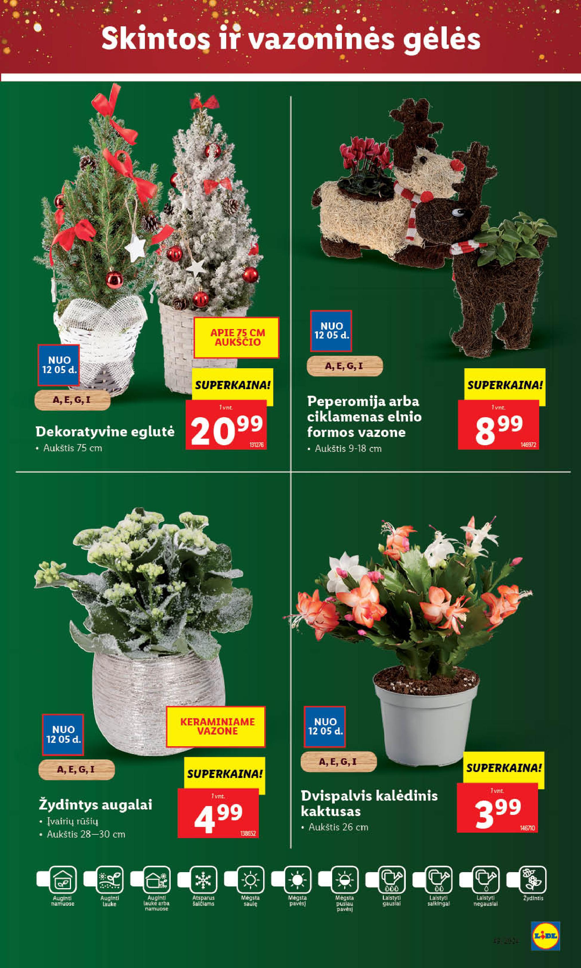 Naujausias LIDL kaininis katalogas 2024.12.02 - 2024.12.08