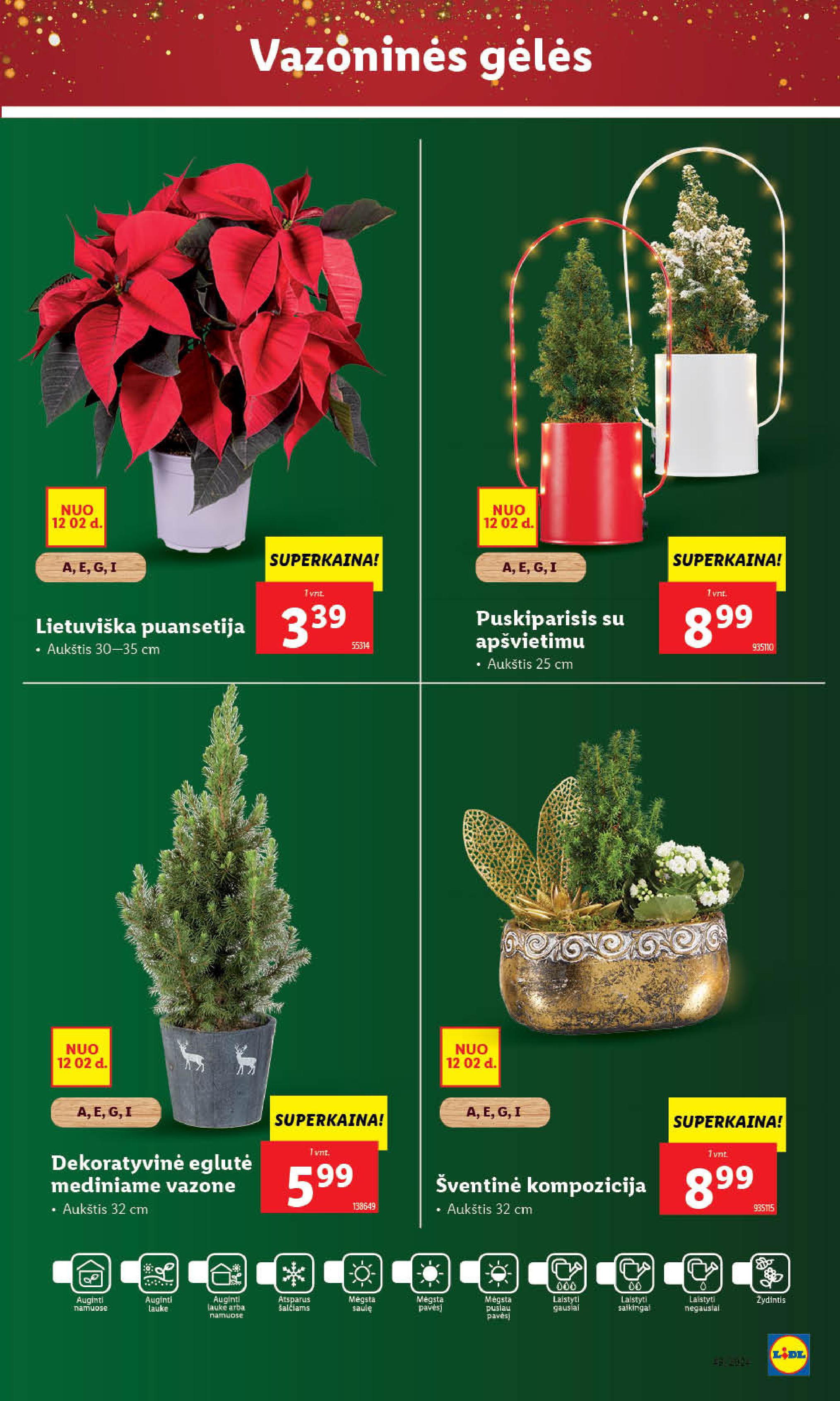 Naujausias LIDL kaininis katalogas 2024.12.02 - 2024.12.08
