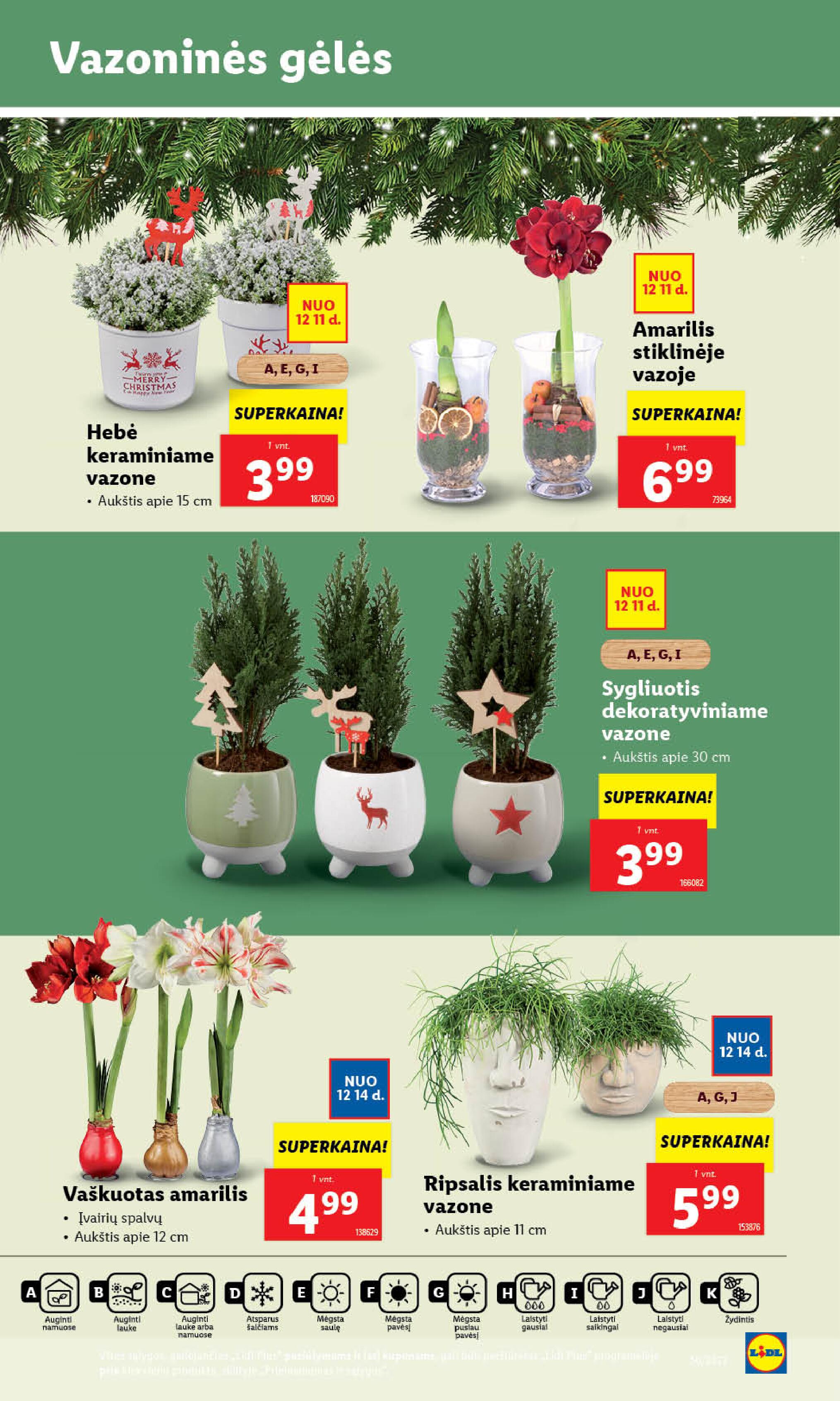 Naujausias LIDL kaininis katalogas 2023.12.11 - 2023.12.17