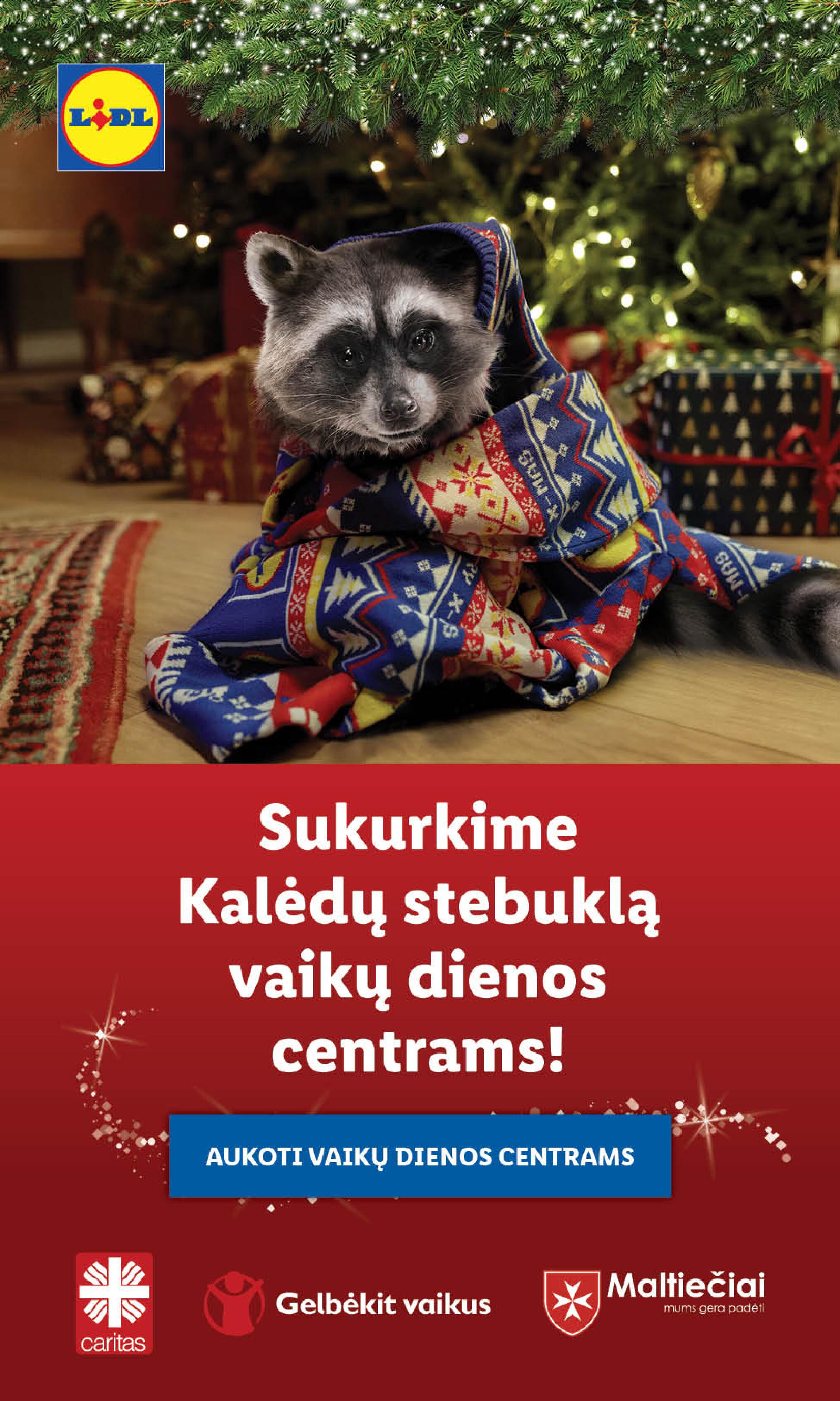 Naujausias LIDL kaininis katalogas 2023.11.13 - 2023.11.19