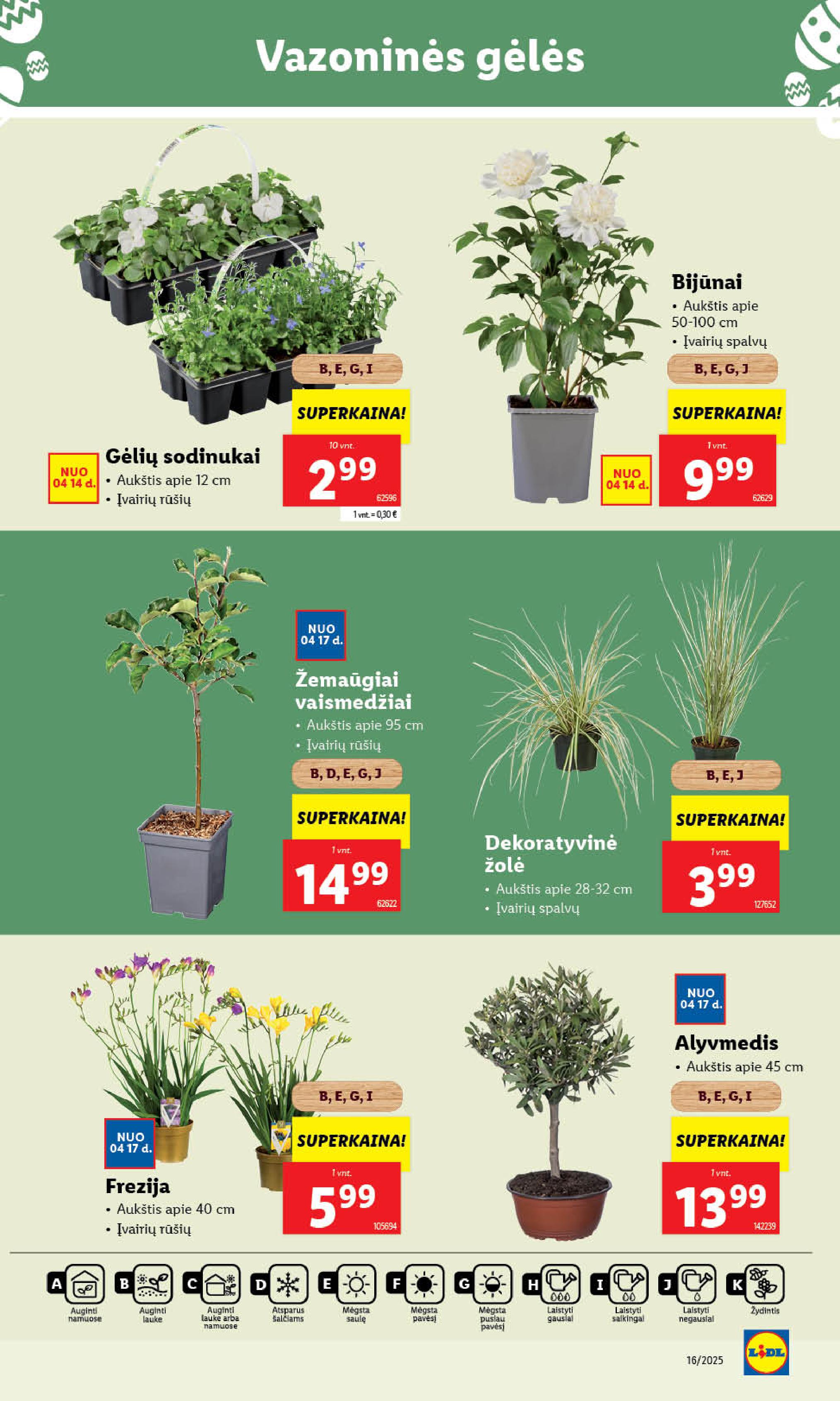 Naujausias LIDL kaininis katalogas 2025.04.14 - 2025.04.19