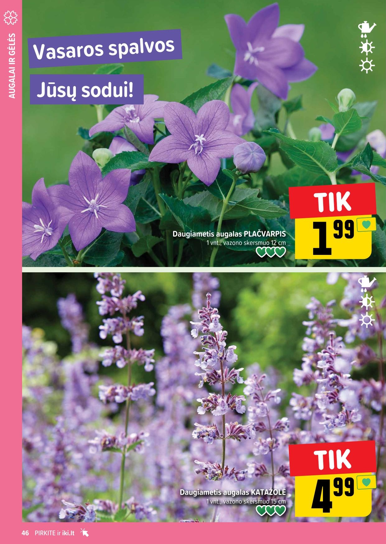 Naujausias IKI kaininis katalogas 2024.07.01 - 2024.07.07