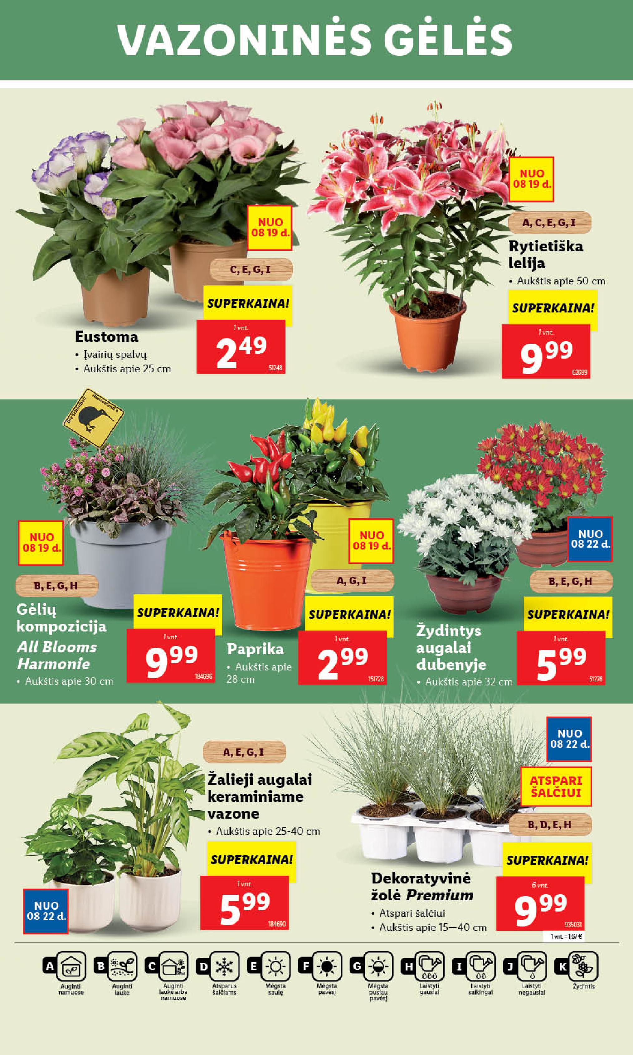 Naujausias LIDL kaininis katalogas 2024.08.19 - 2024.08.25