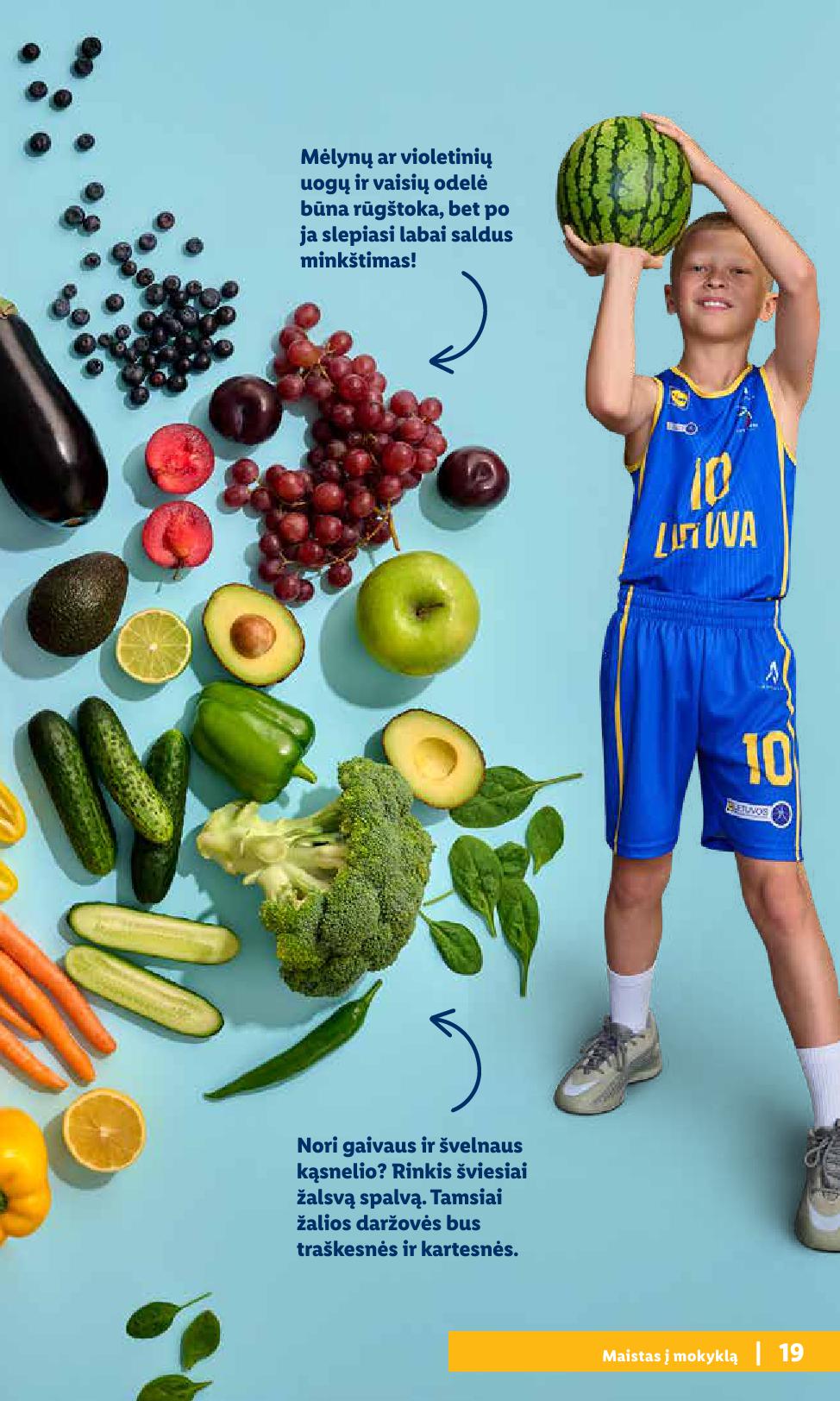 LIDL mokyklinių prekių katalogas "Atgal į mokyklą"