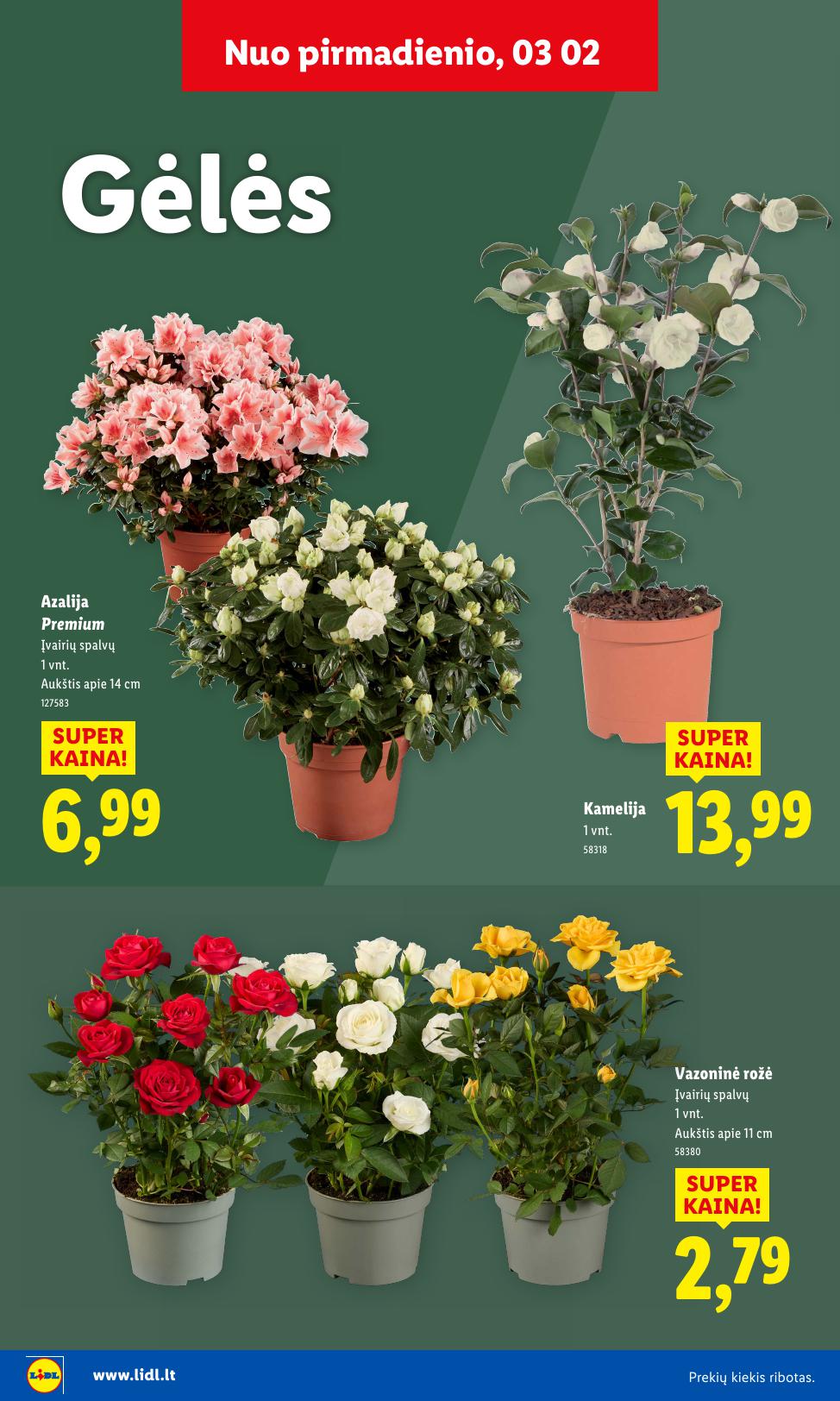 LIDL katalogas "Sodui valio !" galioja nuo 2026.02.16