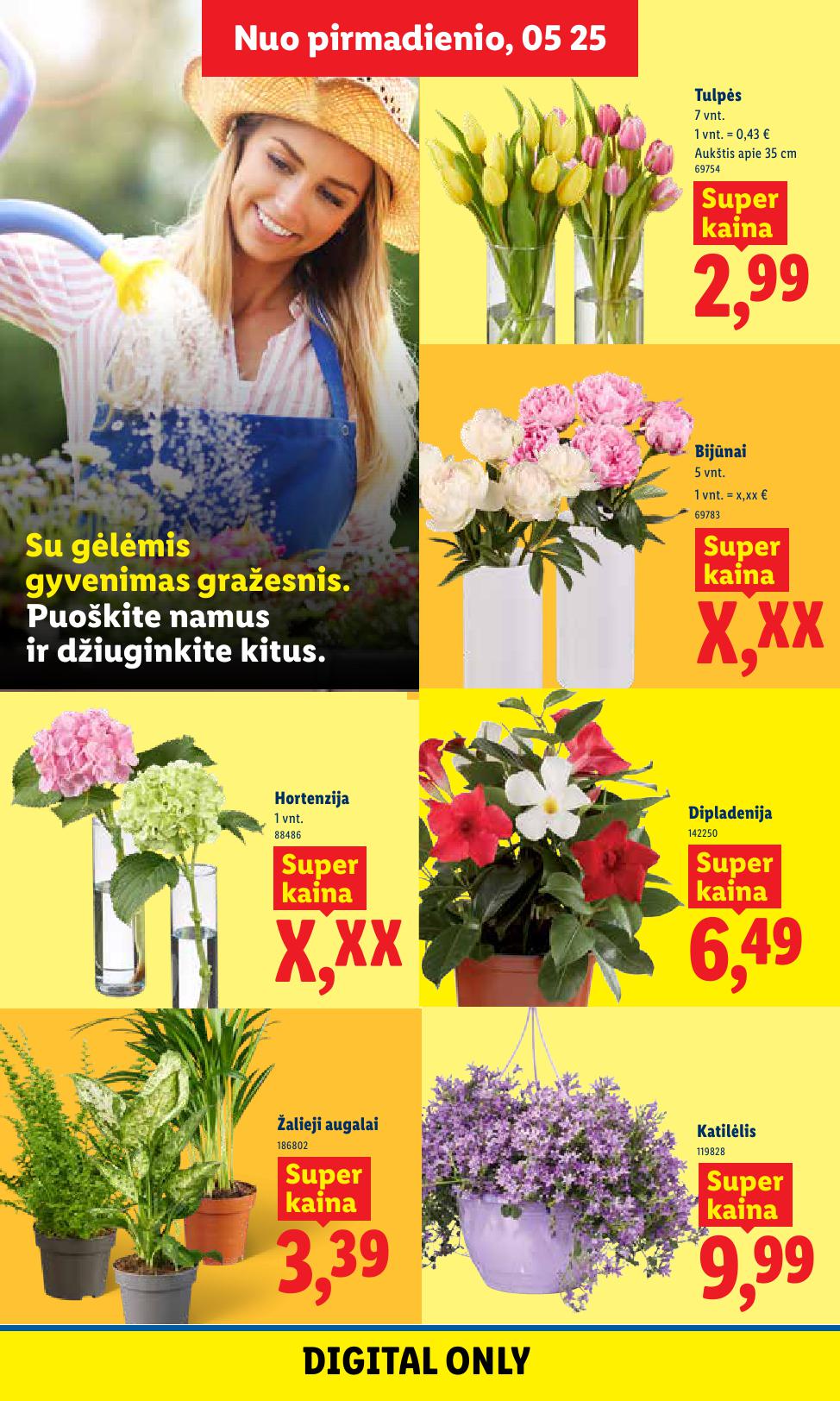 Naujausias LIDL kaininis katalogas 2026.05.25 - 2026.05.31