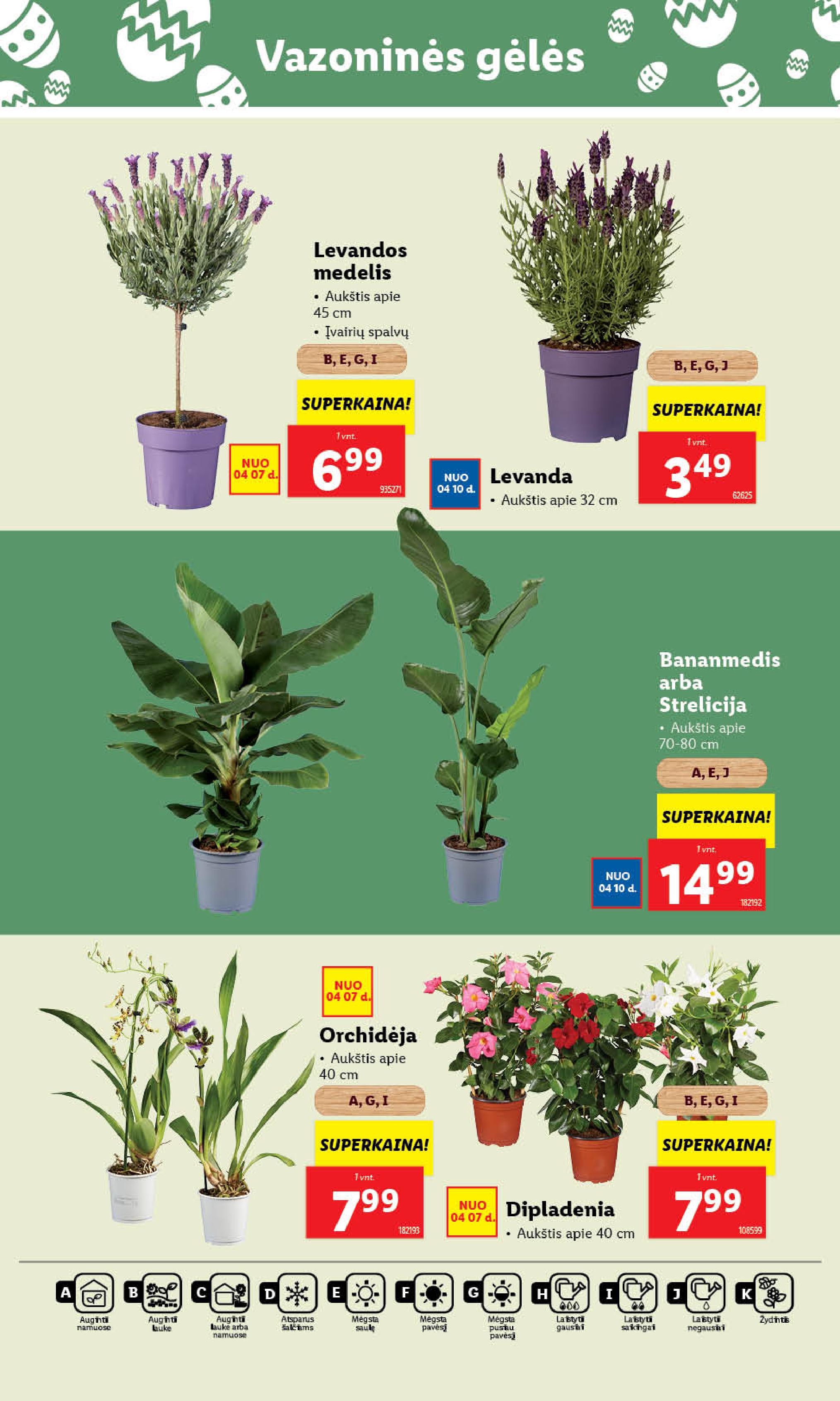 Naujausias LIDL kaininis katalogas 2025.04.07 - 2025.04.13