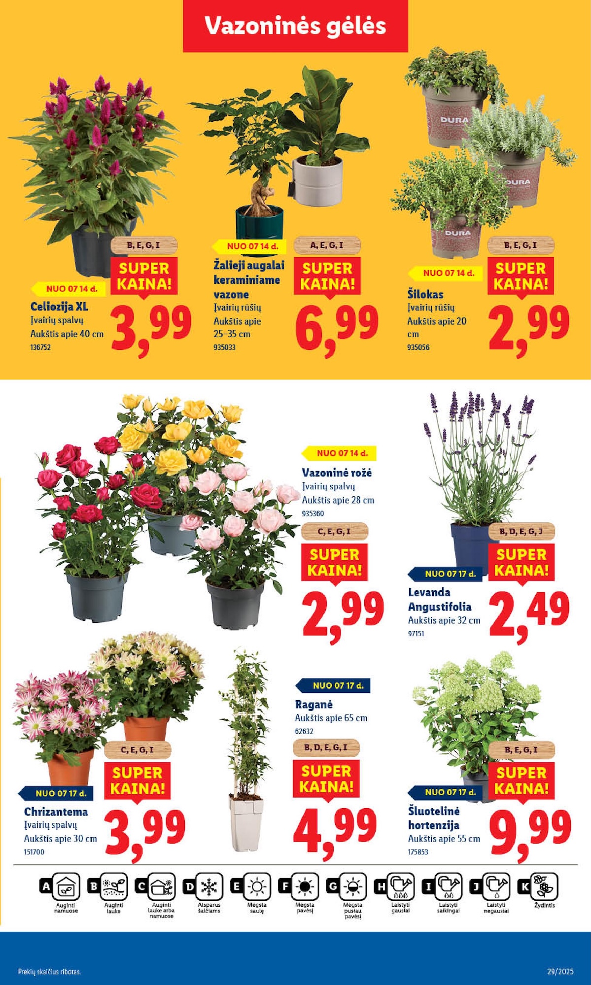 Naujausias LIDL kaininis katalogas 2025.07.14 - 2025.07.20