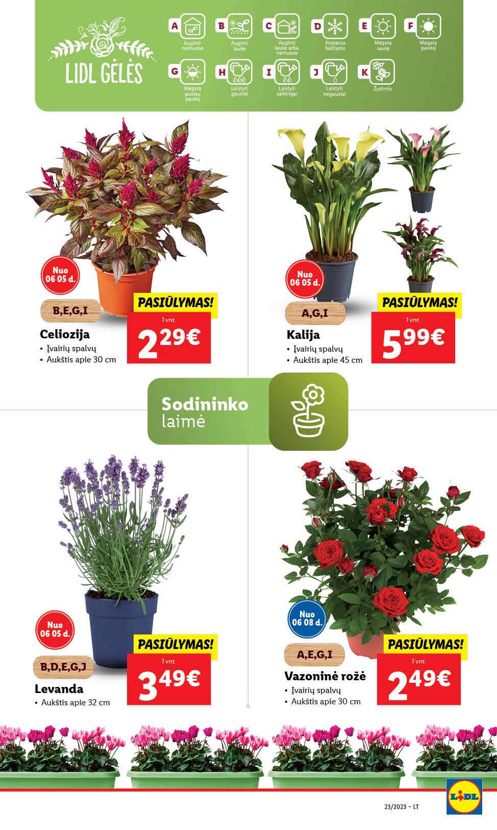 Naujausias LIDL kaininis katalogas 2023.06.05 - 2023.06.11