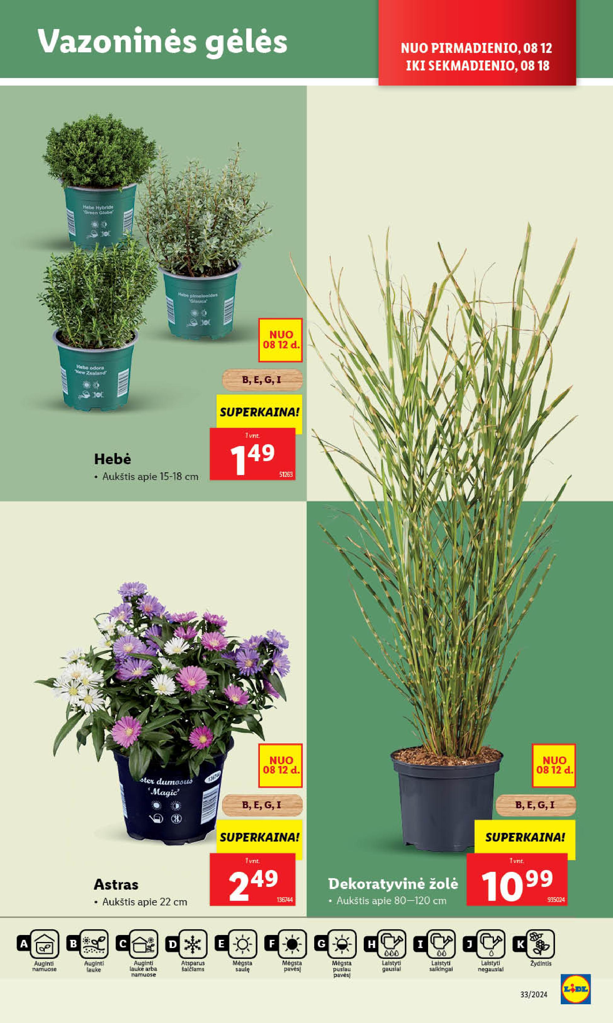 Naujausias LIDL kaininis katalogas 2024.08.12 - 2024.08.18