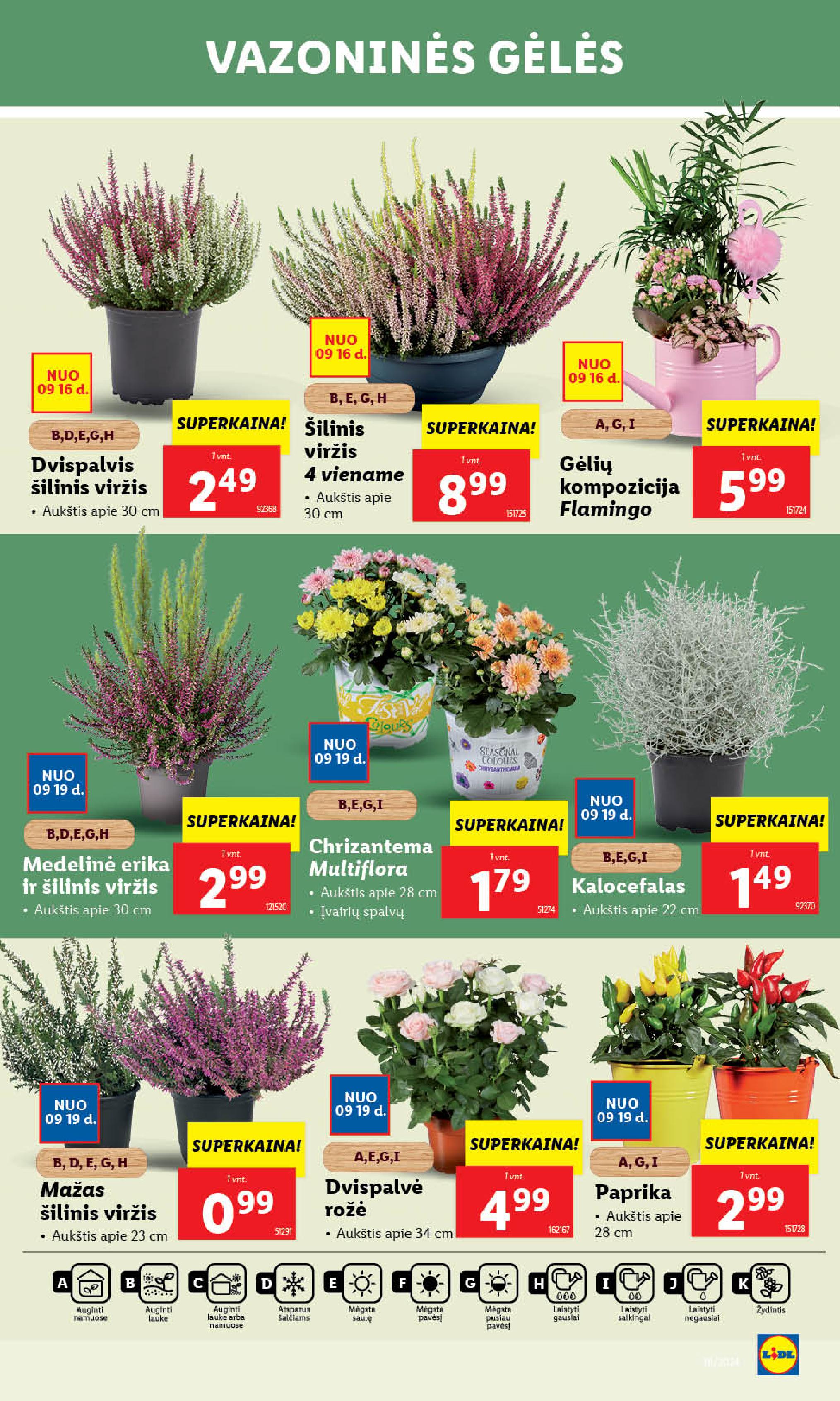Naujausias LIDL kaininis katalogas 2024.09.16 - 2024.09.22