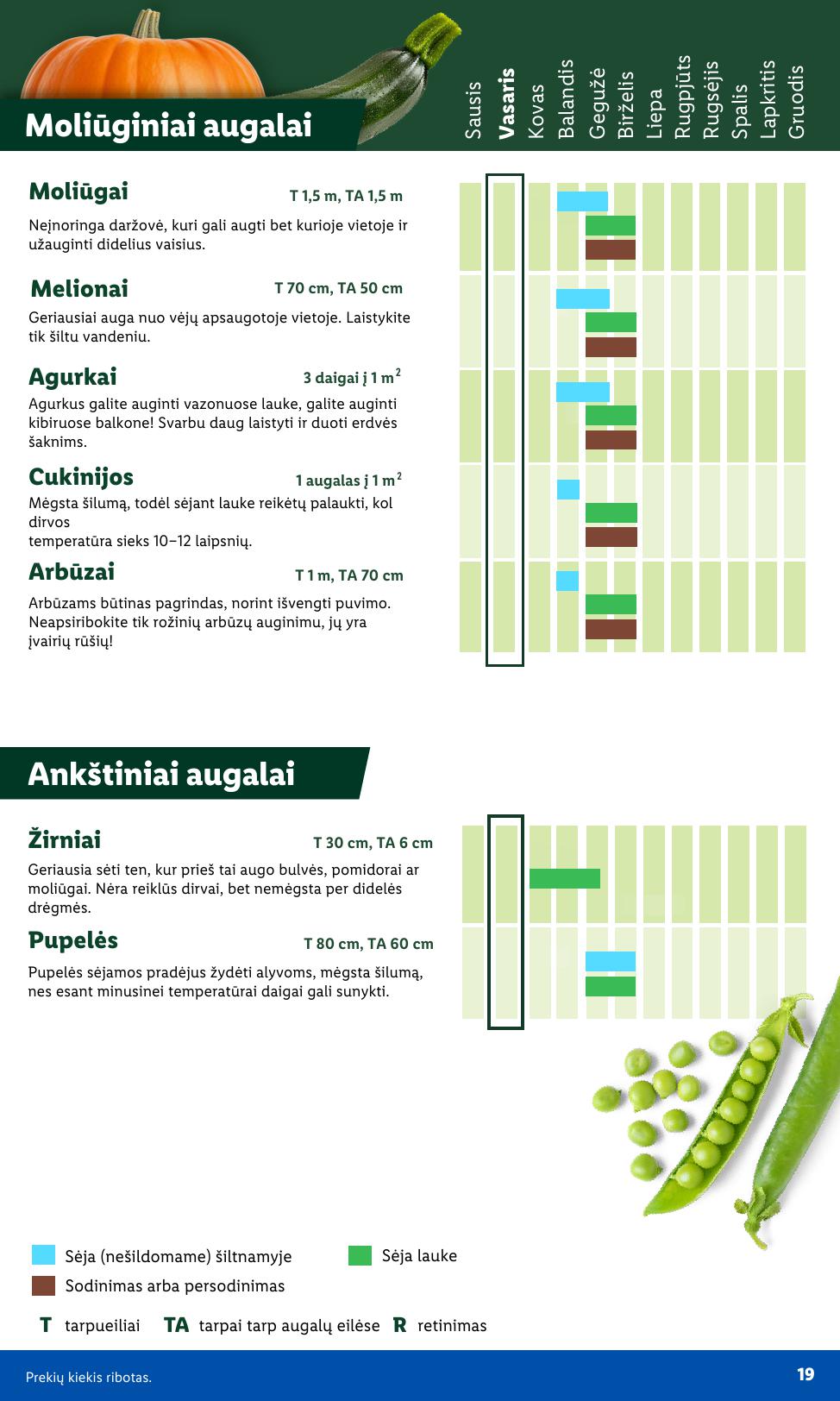 LIDL katalogas "Sodui valio !" galioja nuo 2026.02.16
