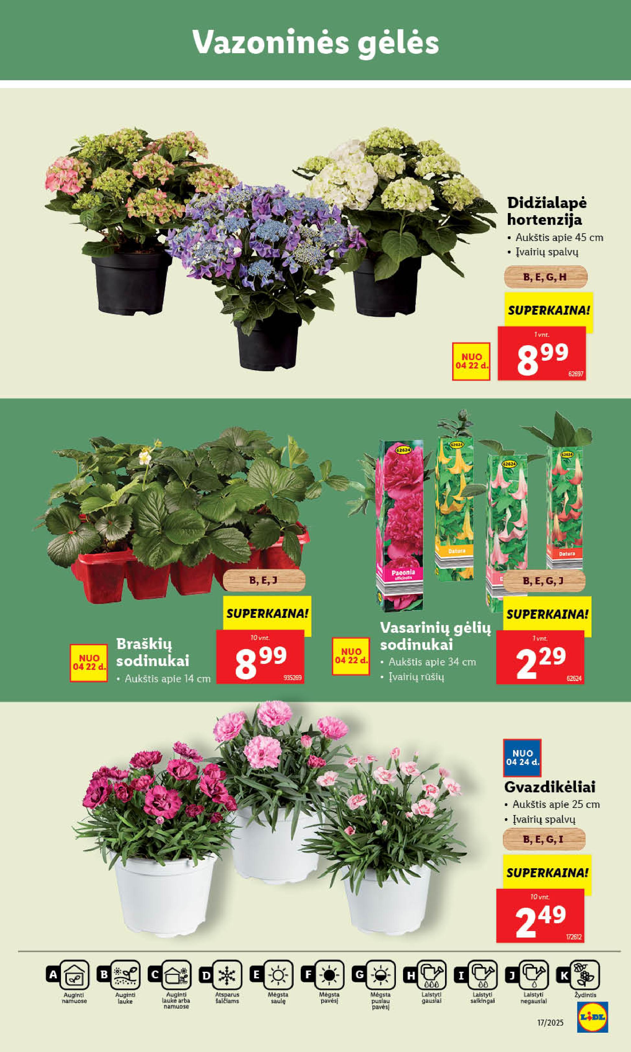 LIDL akcijų ir nuolaidų leidinys 2025.04.21 - 2025.04.27