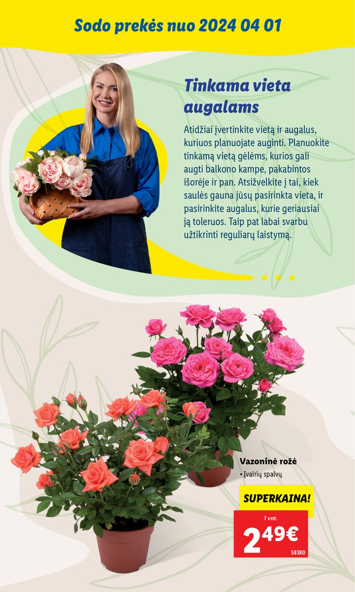 LIDL SODO PREKIŲ KATALOGAS "Visi į sodą"