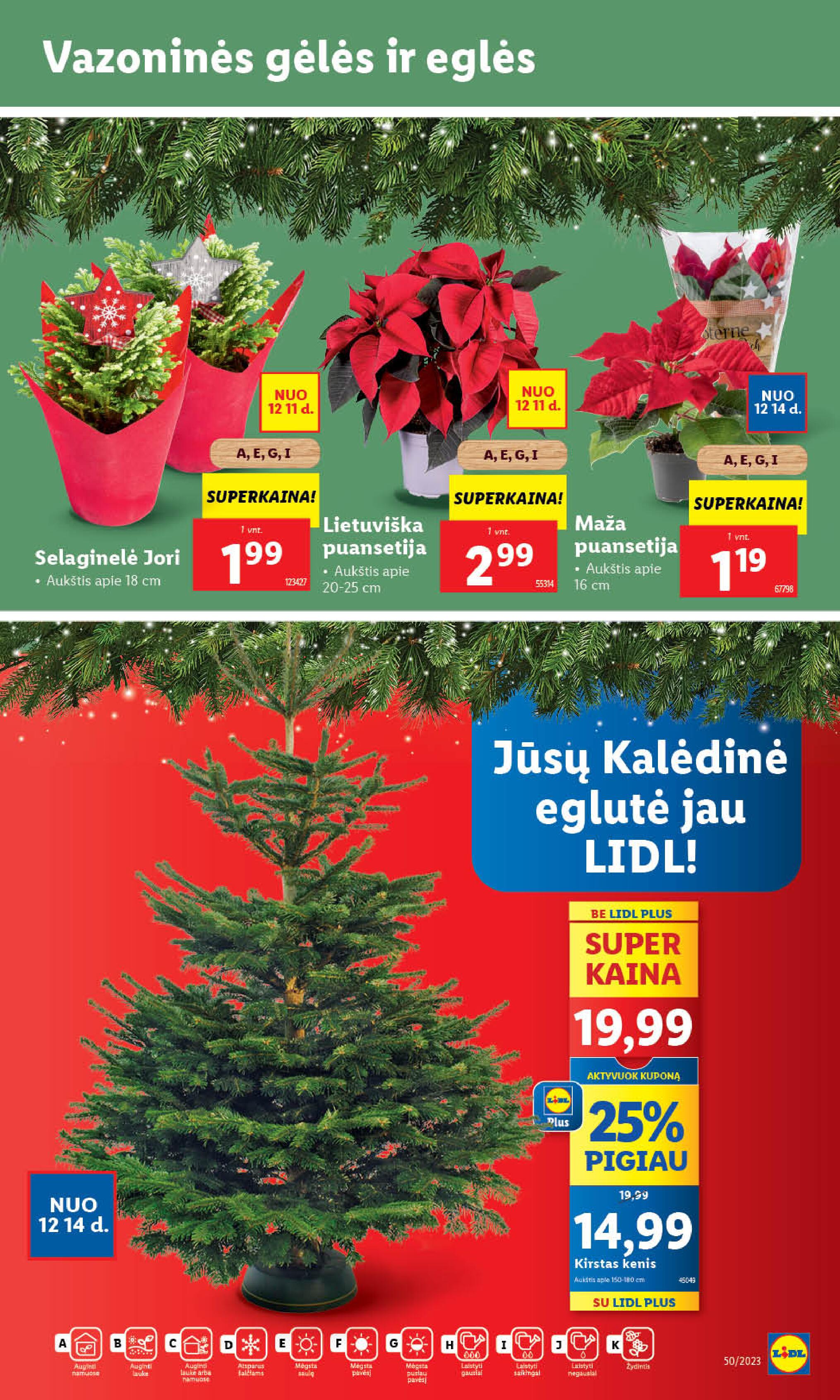 Naujausias LIDL kaininis katalogas 2023.12.11 - 2023.12.17