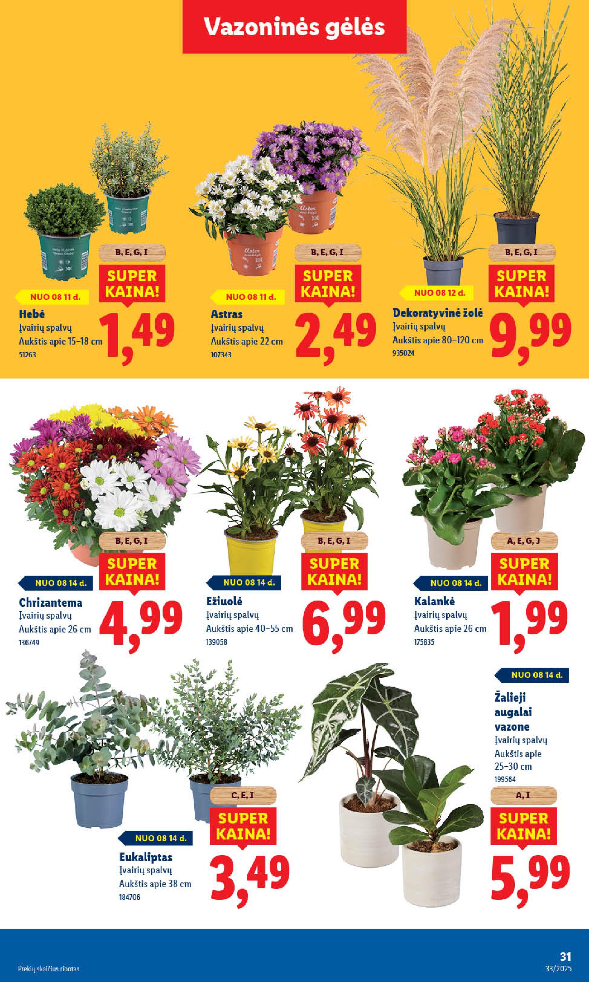 Naujausias LIDL kaininis katalogas 2025.08.11 - 2025.08.17