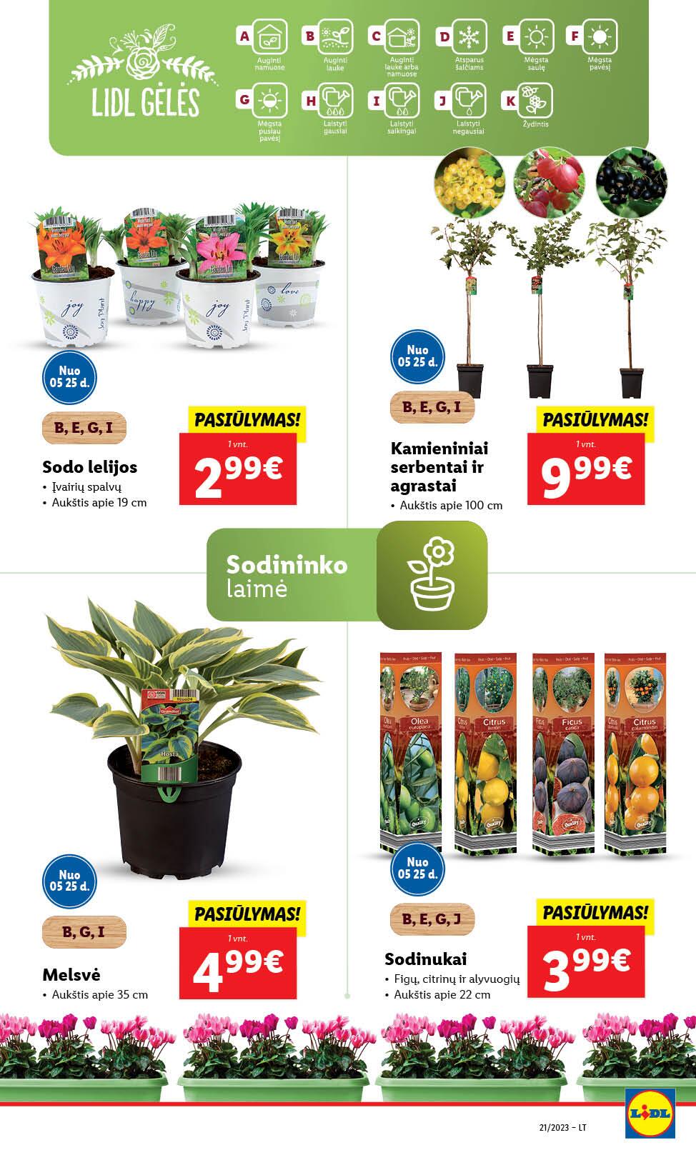 Naujausias LIDL kaininis katalogas 2023.05.22 - 2023.05.28