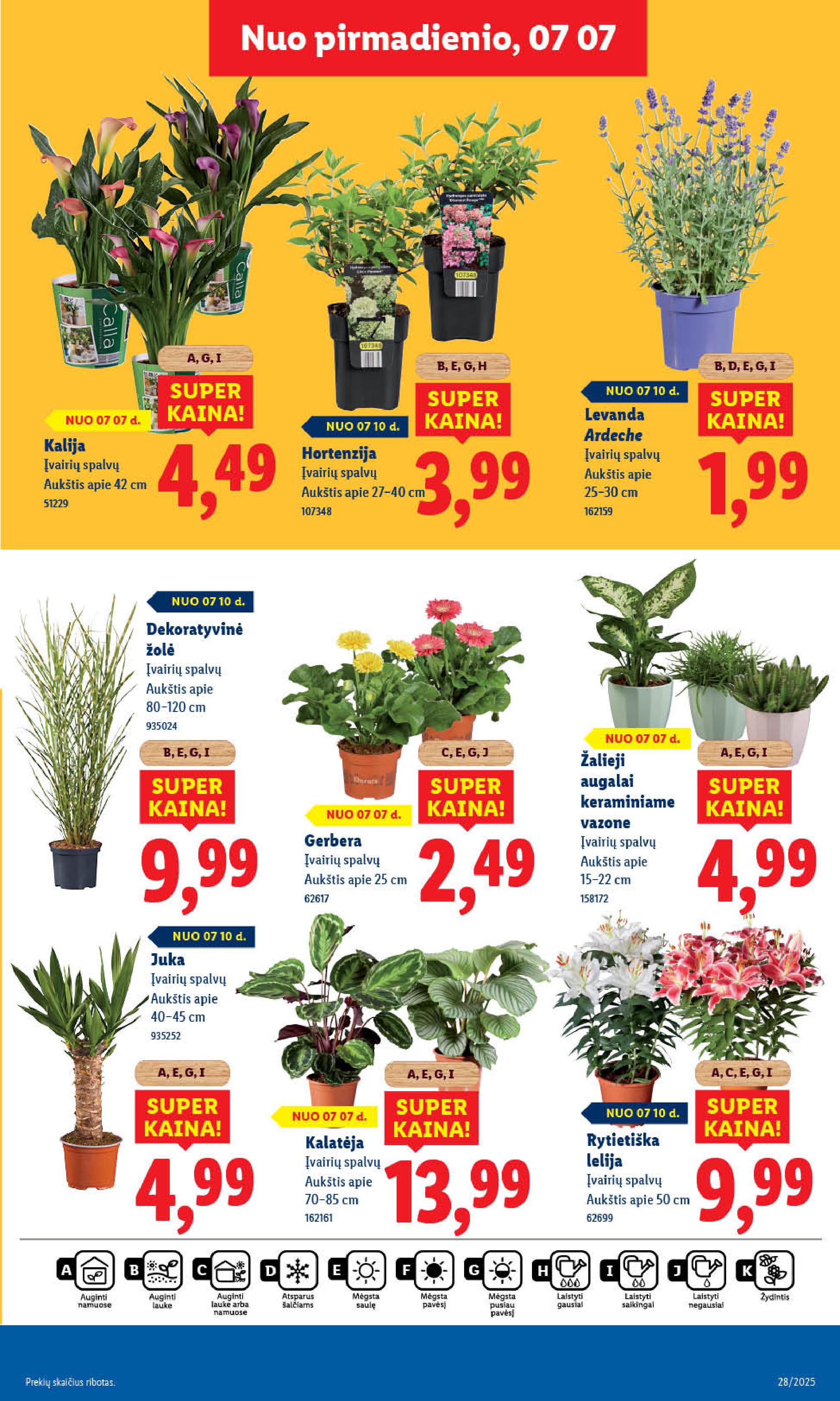 Naujausias LIDL kaininis katalogas 2025.07.07 - 2025.07.13
