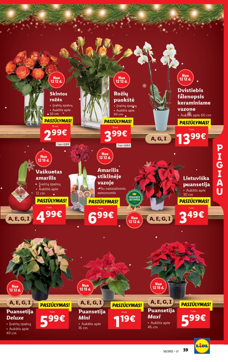 Naujausias LIDL kaininis katalogas 2022.12.12 - 2022.12.18