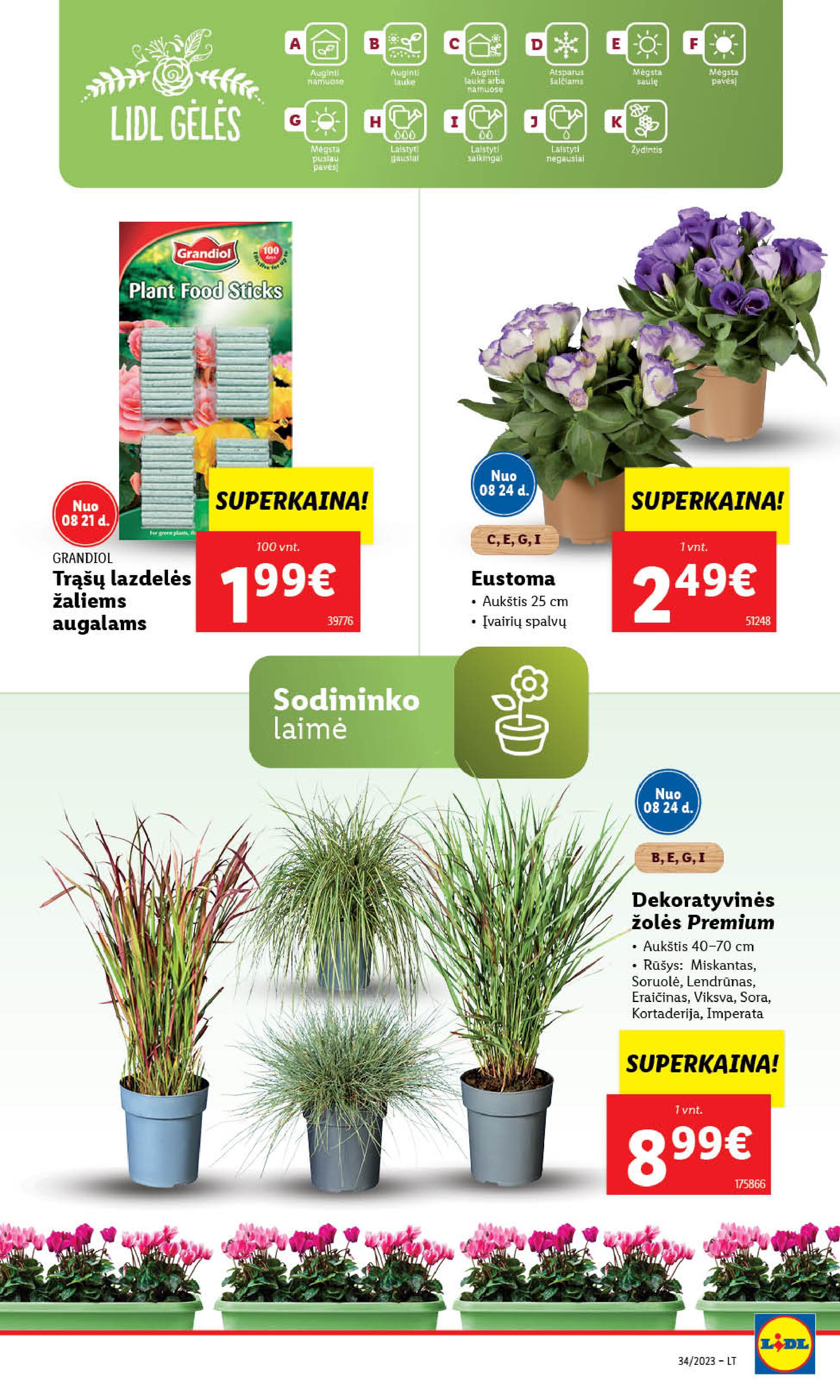 Naujausias LIDL kaininis katalogas 2023.08.21 - 2023.08.27