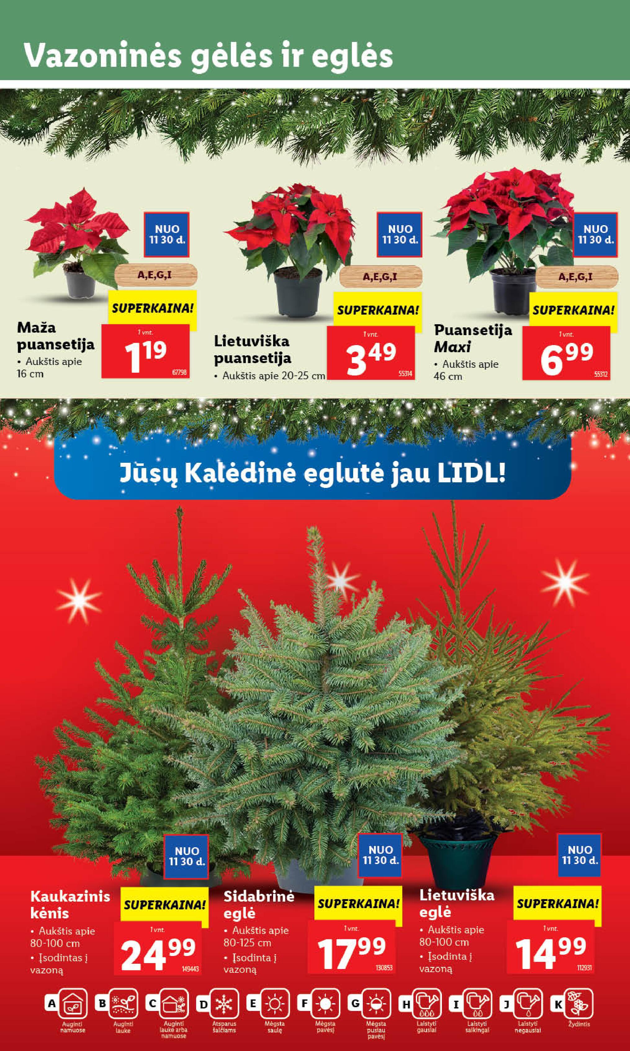 Naujausias LIDL kaininis katalogas 2023.11.27 - 2023.12.03