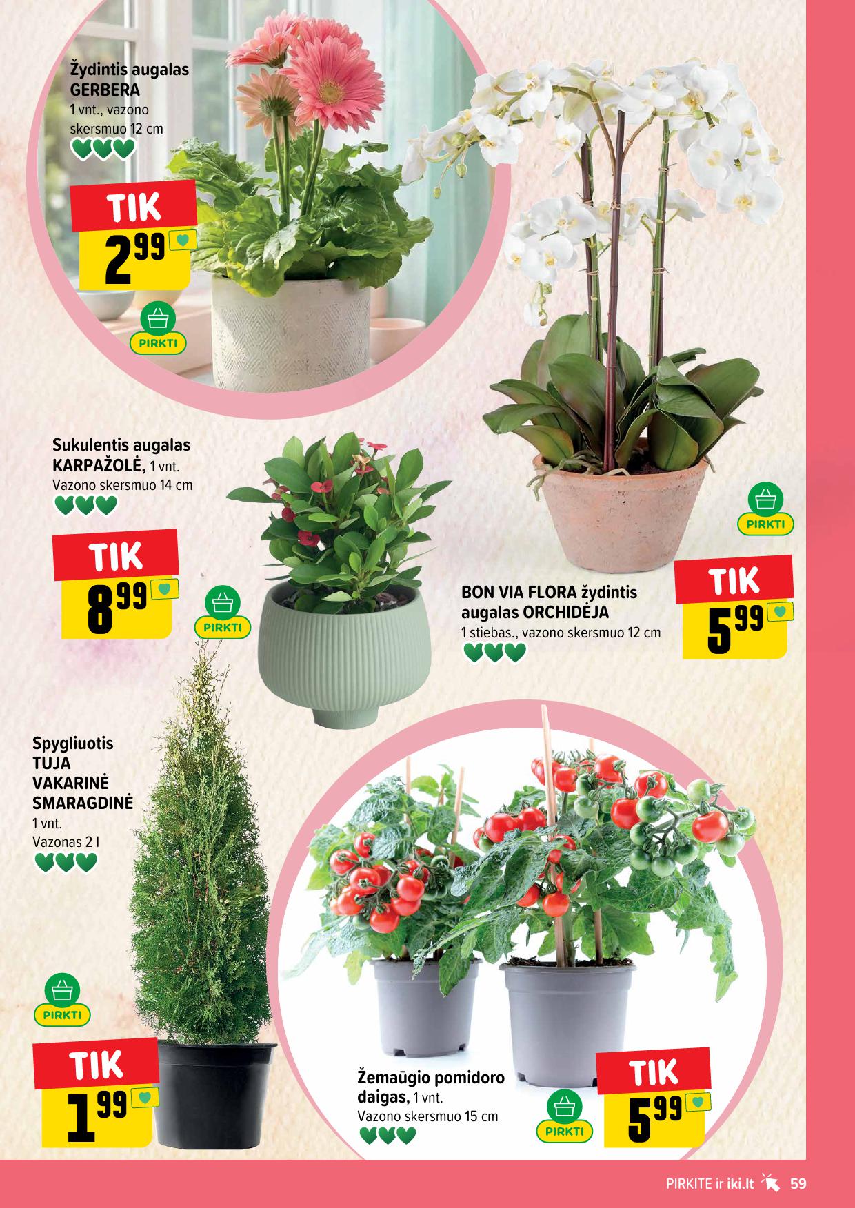 Naujausias IKI kaininis katalogas 2026.04.27 - 2026.05.03