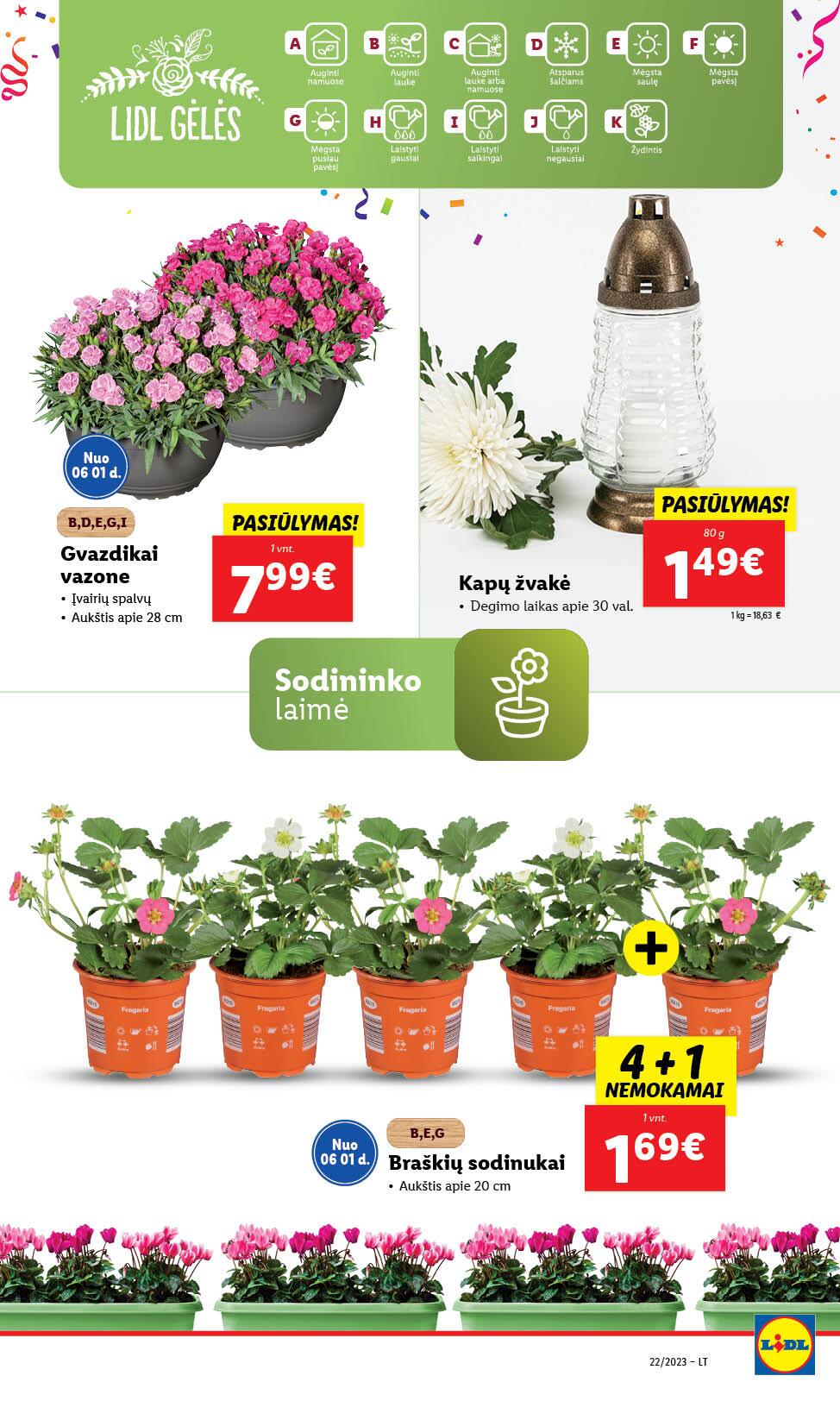 Naujausias LIDL kaininis katalogas 2023.05.29 - 2023.06.04