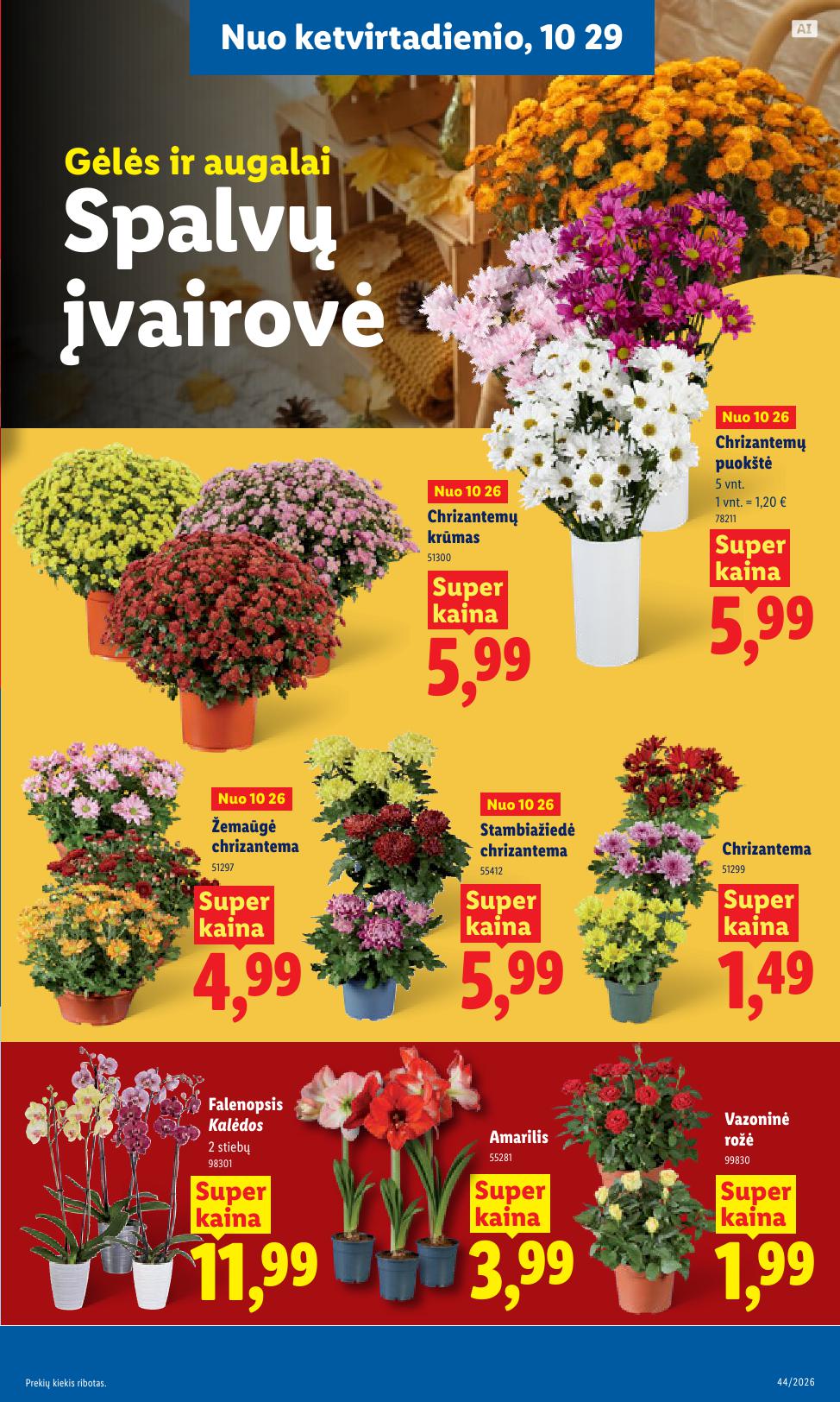 Naujas LIDL leidinys nuo 2026.10.26 iki 2026.11.01