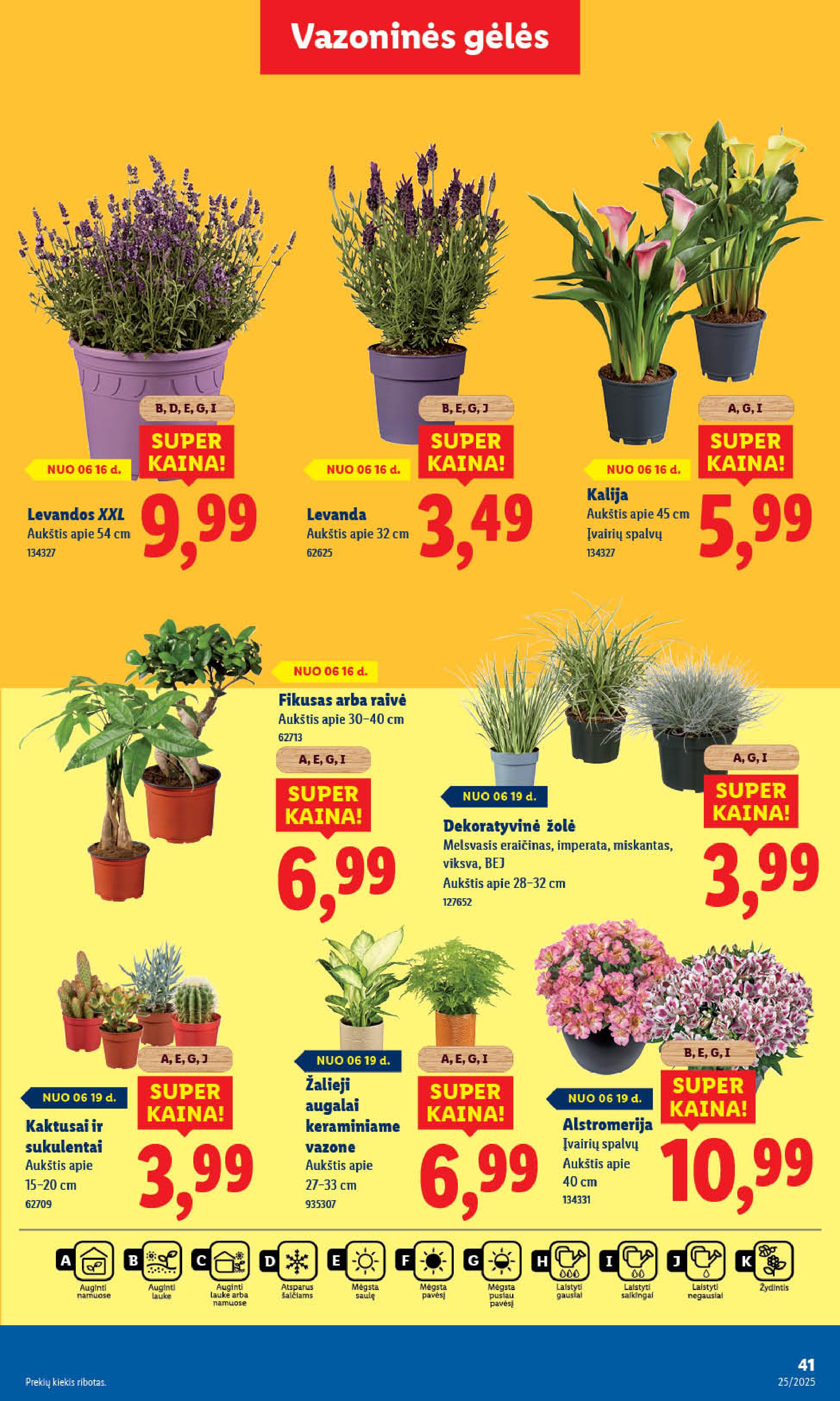 LIDL akcijų ir nuolaidų leidinys 2025.06.16 - 2025.06.22