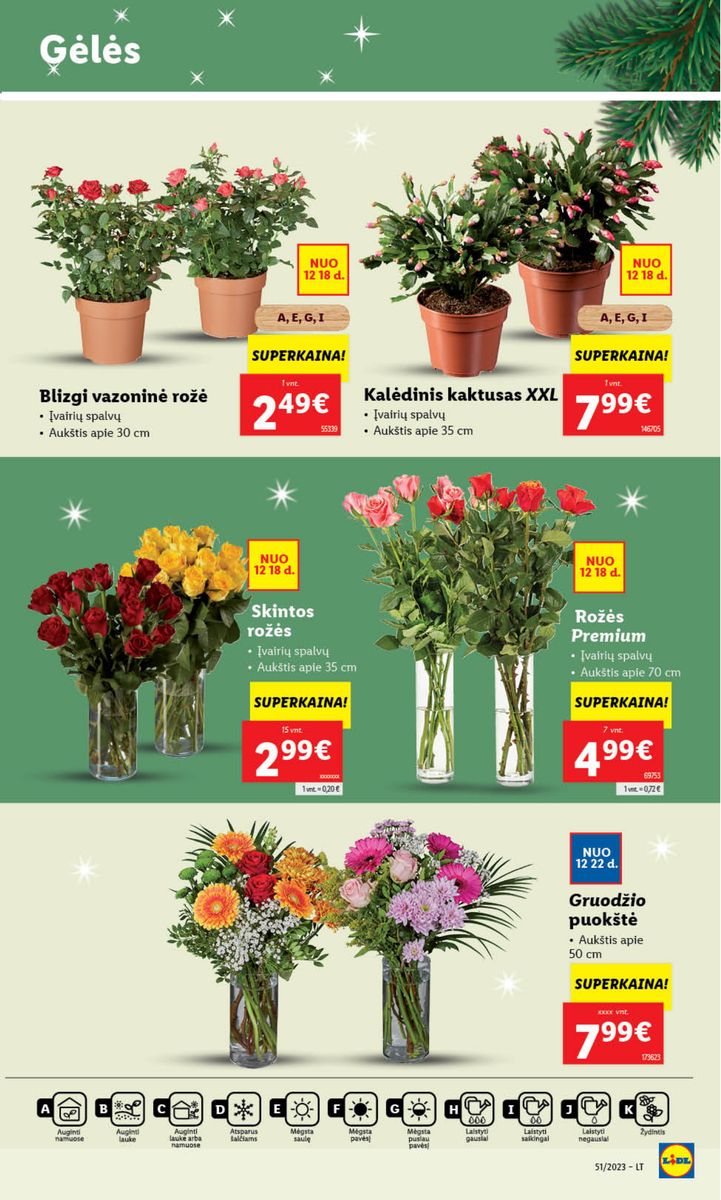 Naujausias LIDL kaininis katalogas 2023.12.18 - 2023.12.24