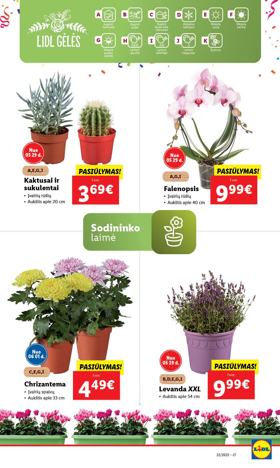Naujausias LIDL kaininis katalogas 2023.05.29 - 2023.06.04