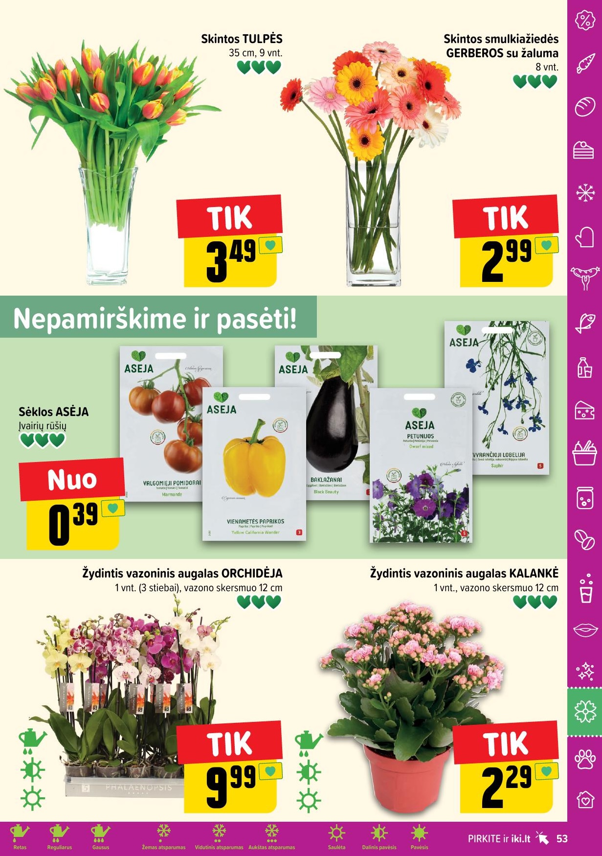 Naujausias IKI kaininis katalogas 2024.04.08 - 2024.04.14
